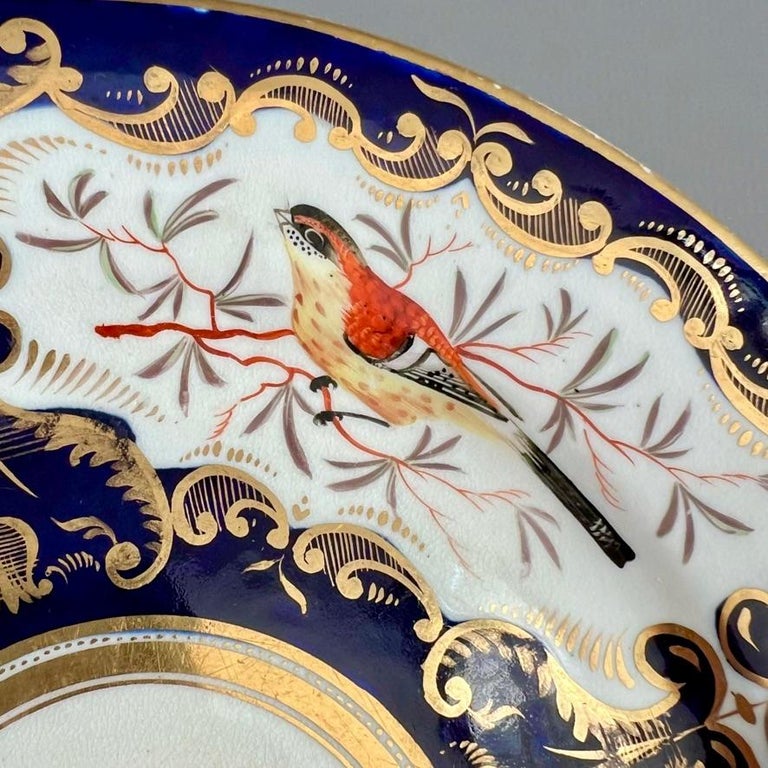 Coalport Porcelain Plate, Birds and Flowers, Cobalt Blue Patt.759