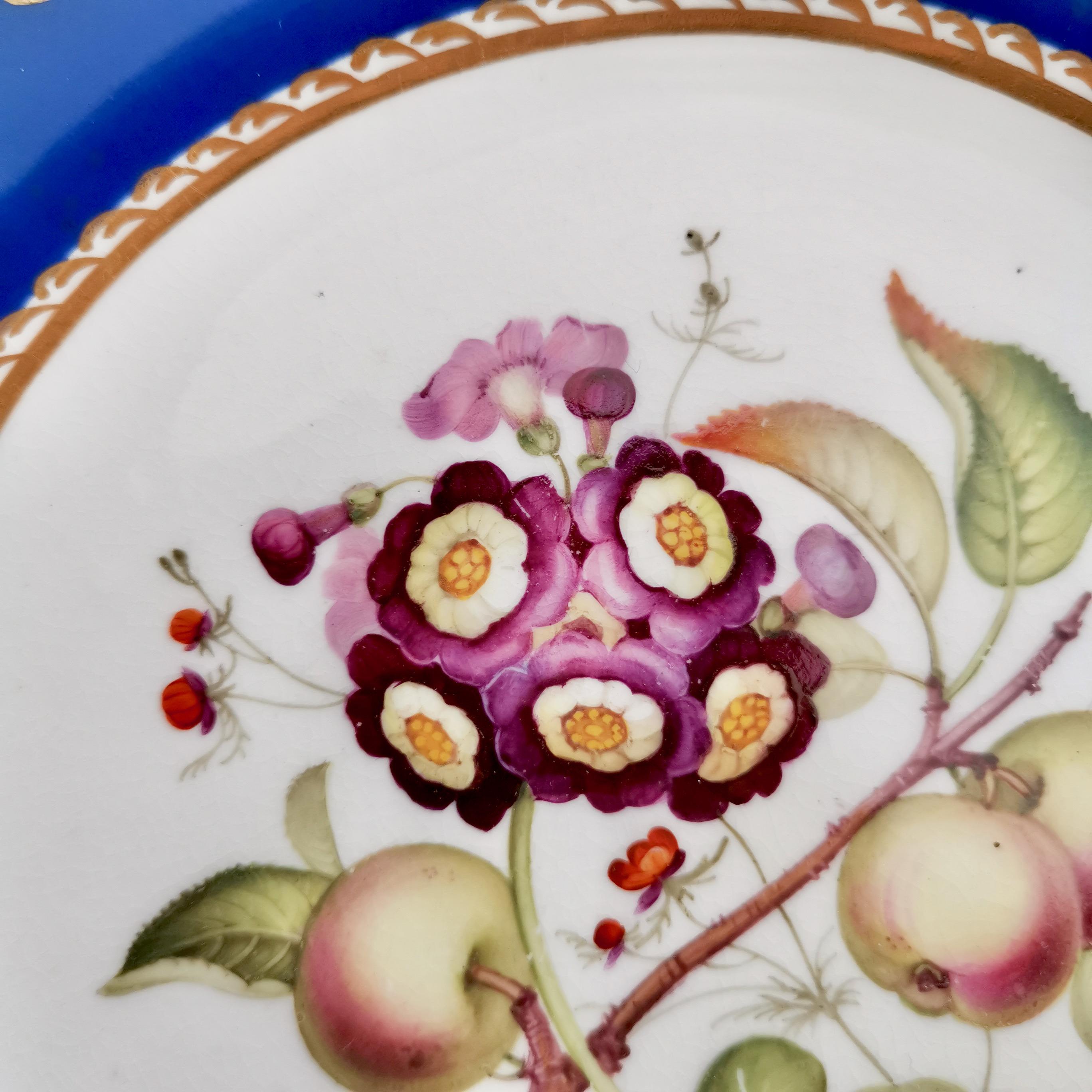 Victorian Coalport Porcelain Plate, Blue with Auriculas and Apples, ca 1830