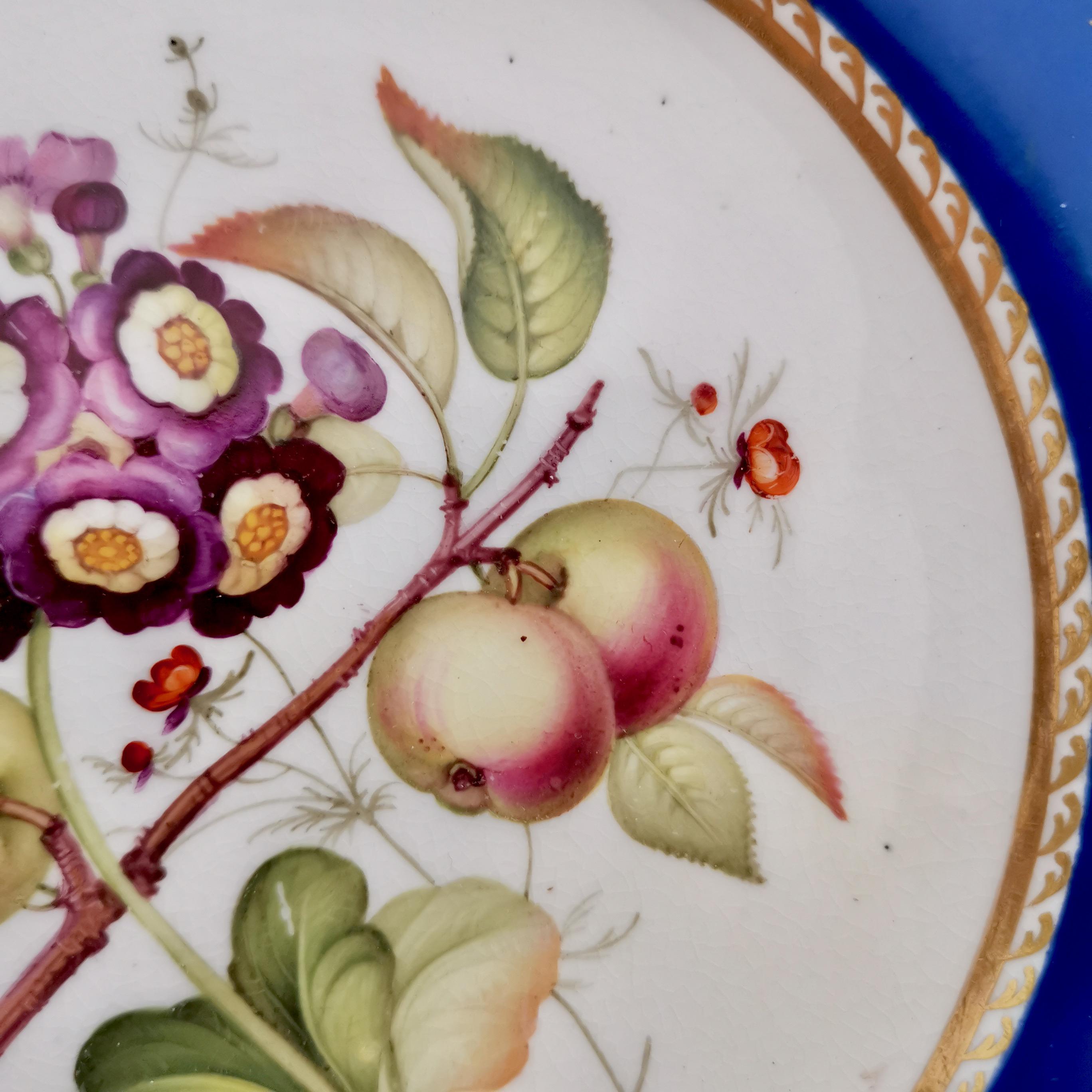 English Coalport Porcelain Plate, Blue with Auriculas and Apples, ca 1830