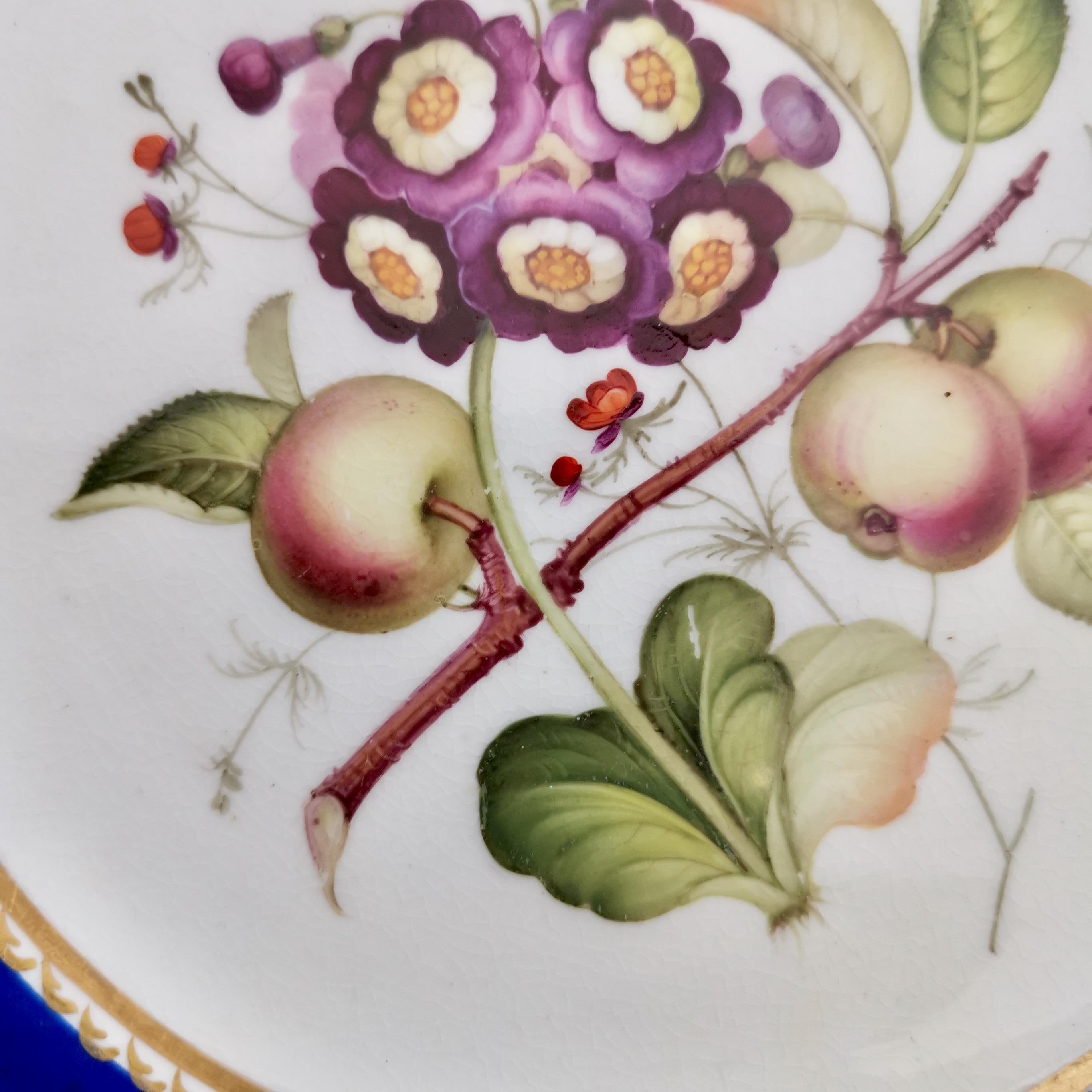 Hand-Painted Coalport Porcelain Plate, Blue with Auriculas and Apples, ca 1830