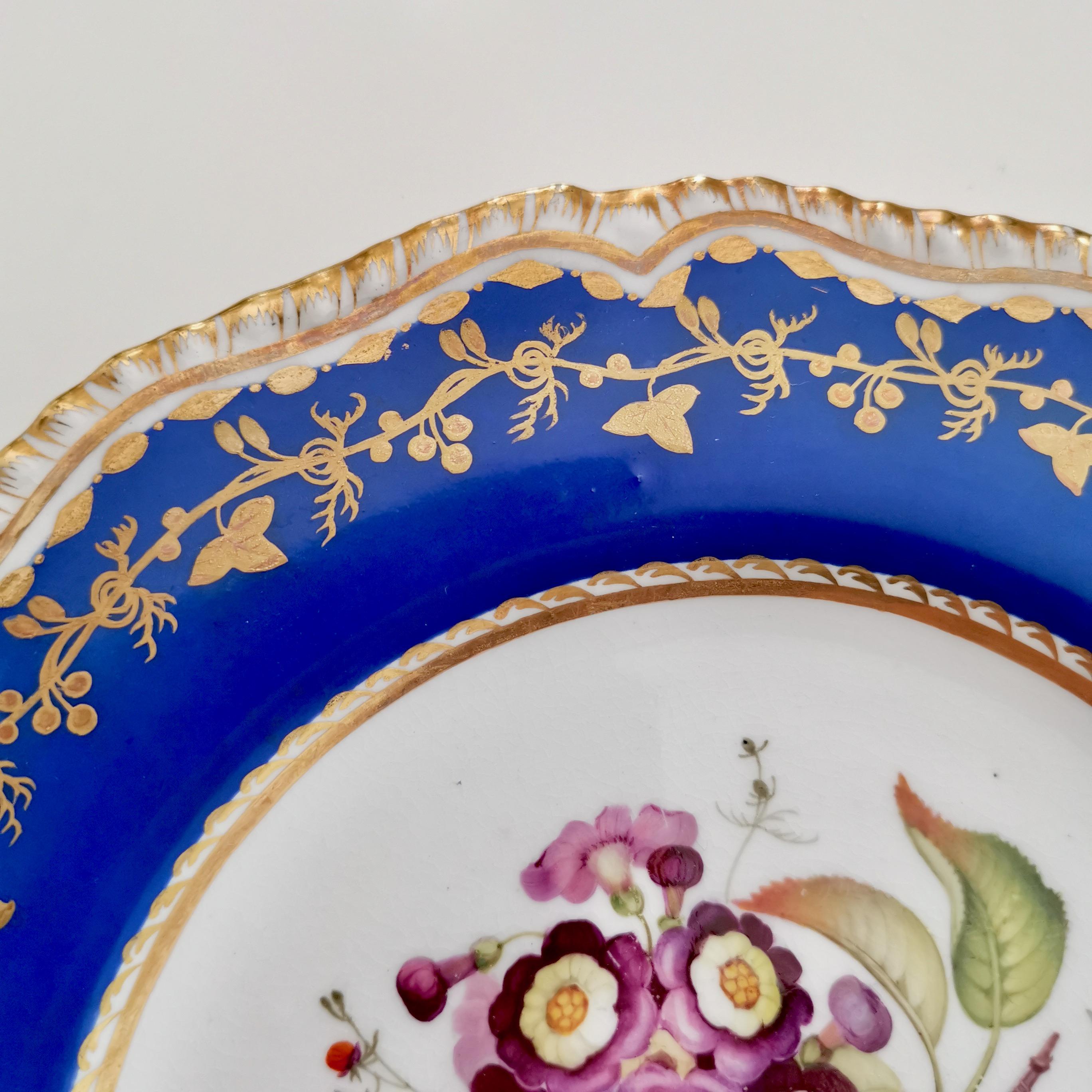 Coalport Porcelain Plate, Blue with Auriculas and Apples, ca 1830 In Good Condition In London, GB