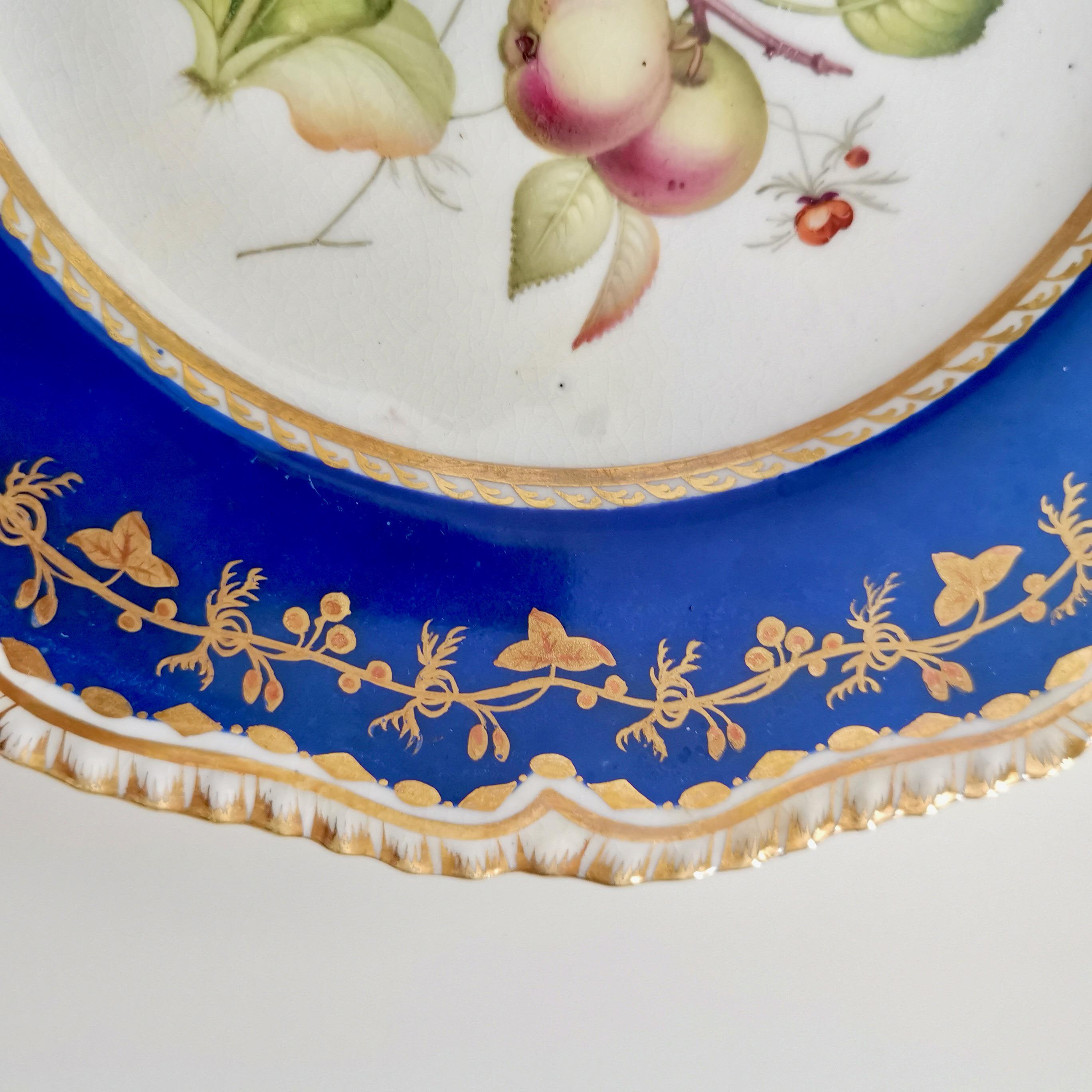 Mid-19th Century Coalport Porcelain Plate, Blue with Auriculas and Apples, ca 1830
