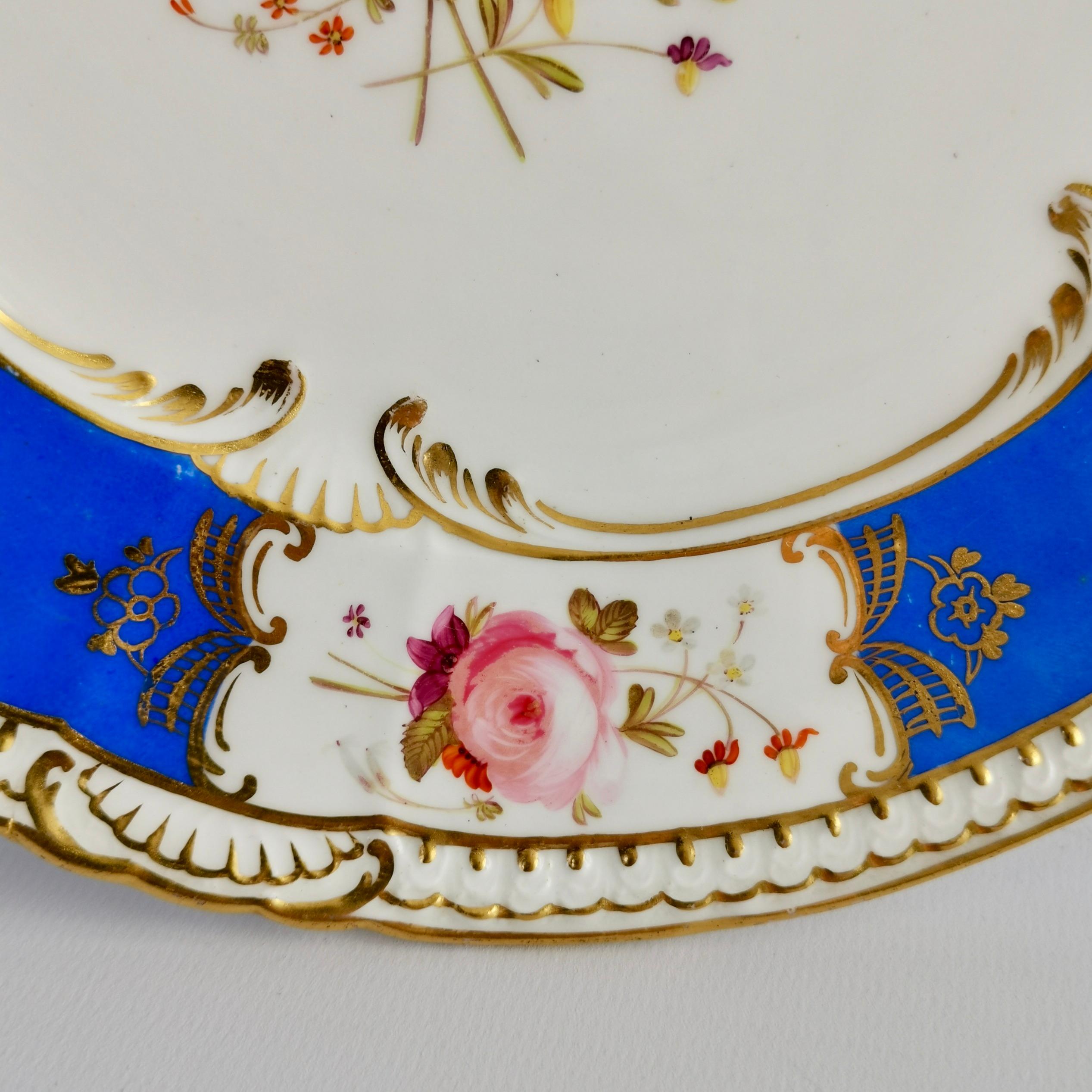 English Coalport Porcelain Plate, Blue with Hand Painted Flowers, Regency 1827