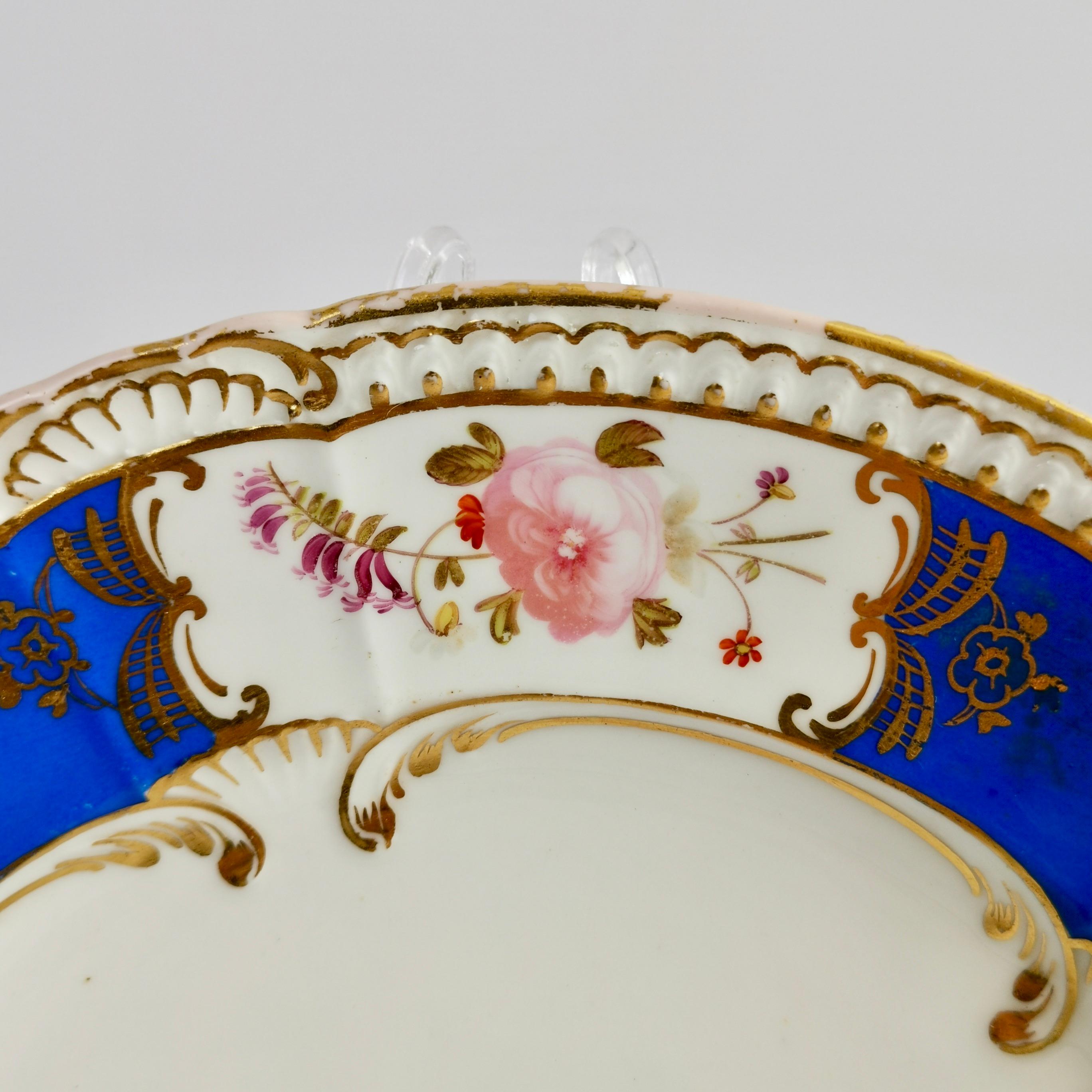 Hand-Painted Coalport Porcelain Plate, Blue with Hand Painted Flowers, Regency 1827
