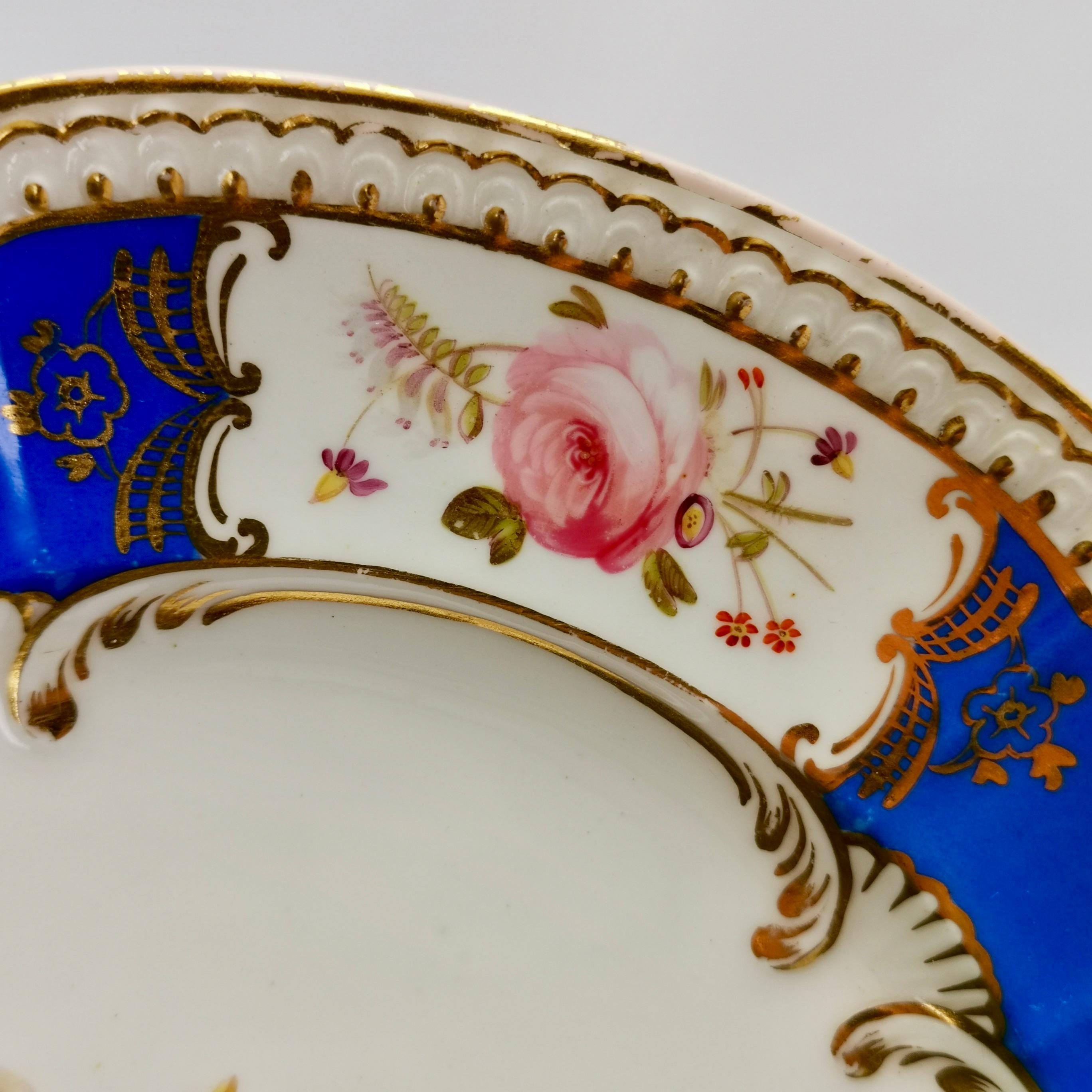 Coalport Porcelain Plate, Blue with Hand Painted Flowers, Regency 1827 In Good Condition In London, GB