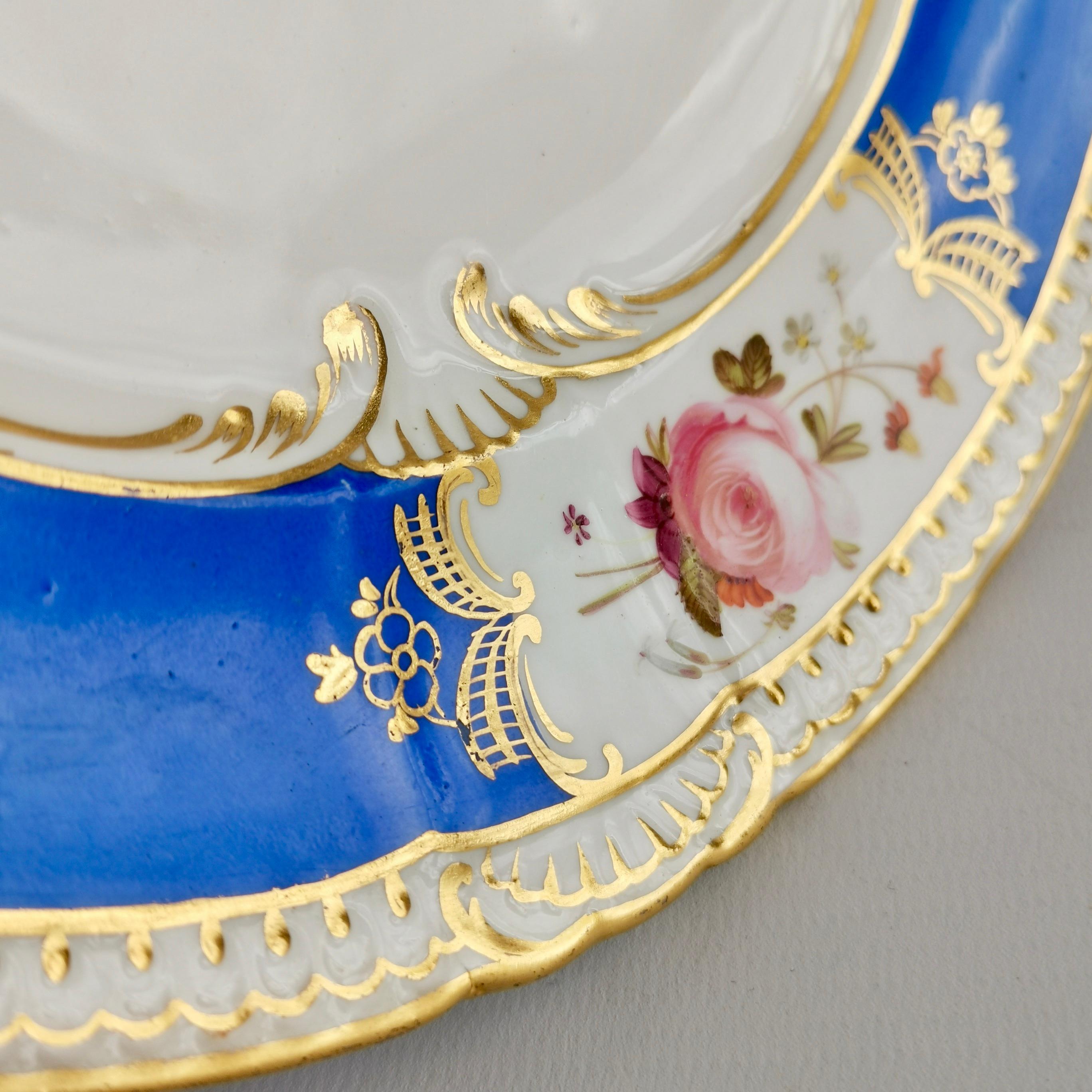 Coalport Porcelain Plate, Blue with Hand Painted Flowers, Regency 1827 2