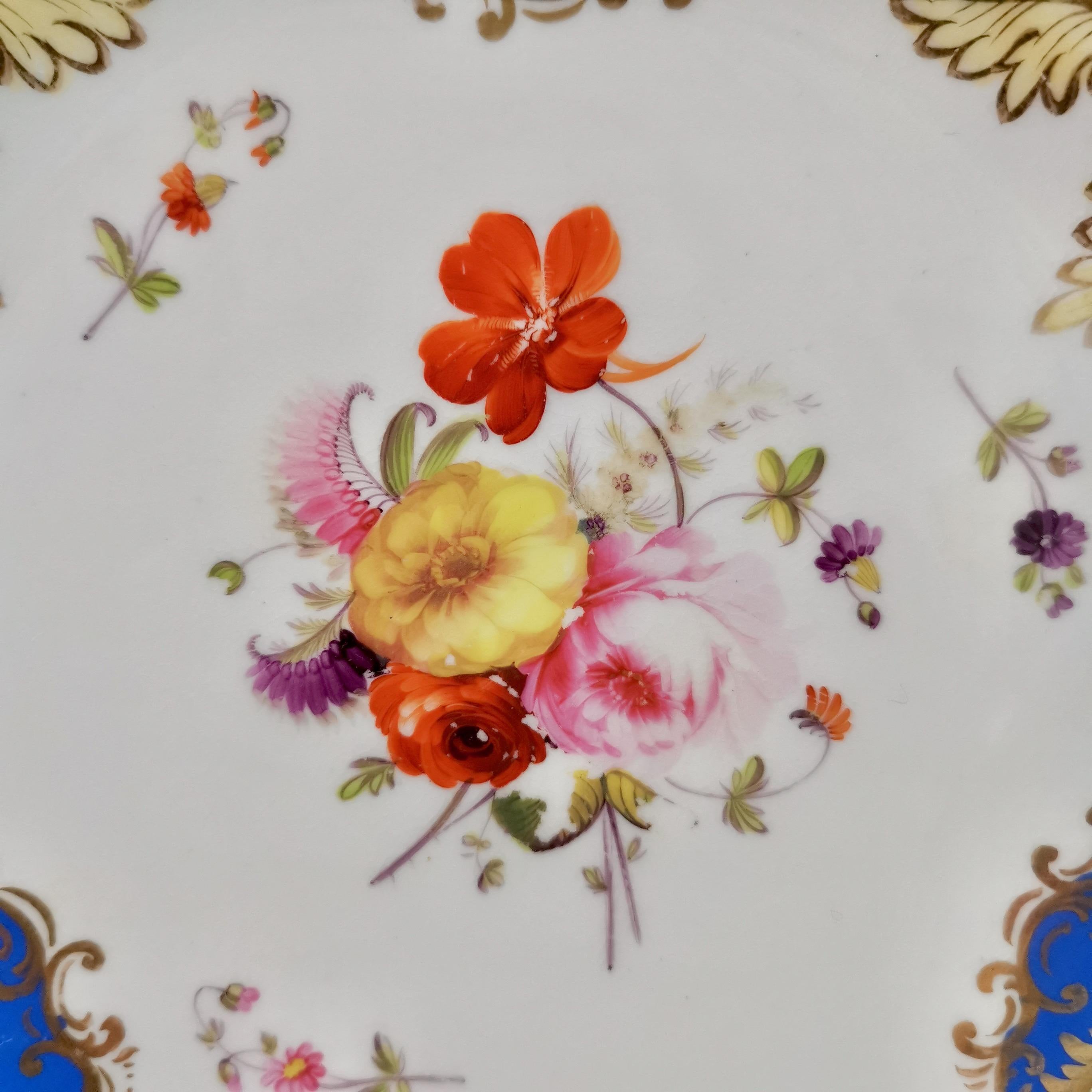 English Coalport Porcelain Plate, Brunswick Blue and Flowers, Regency, circa 1825