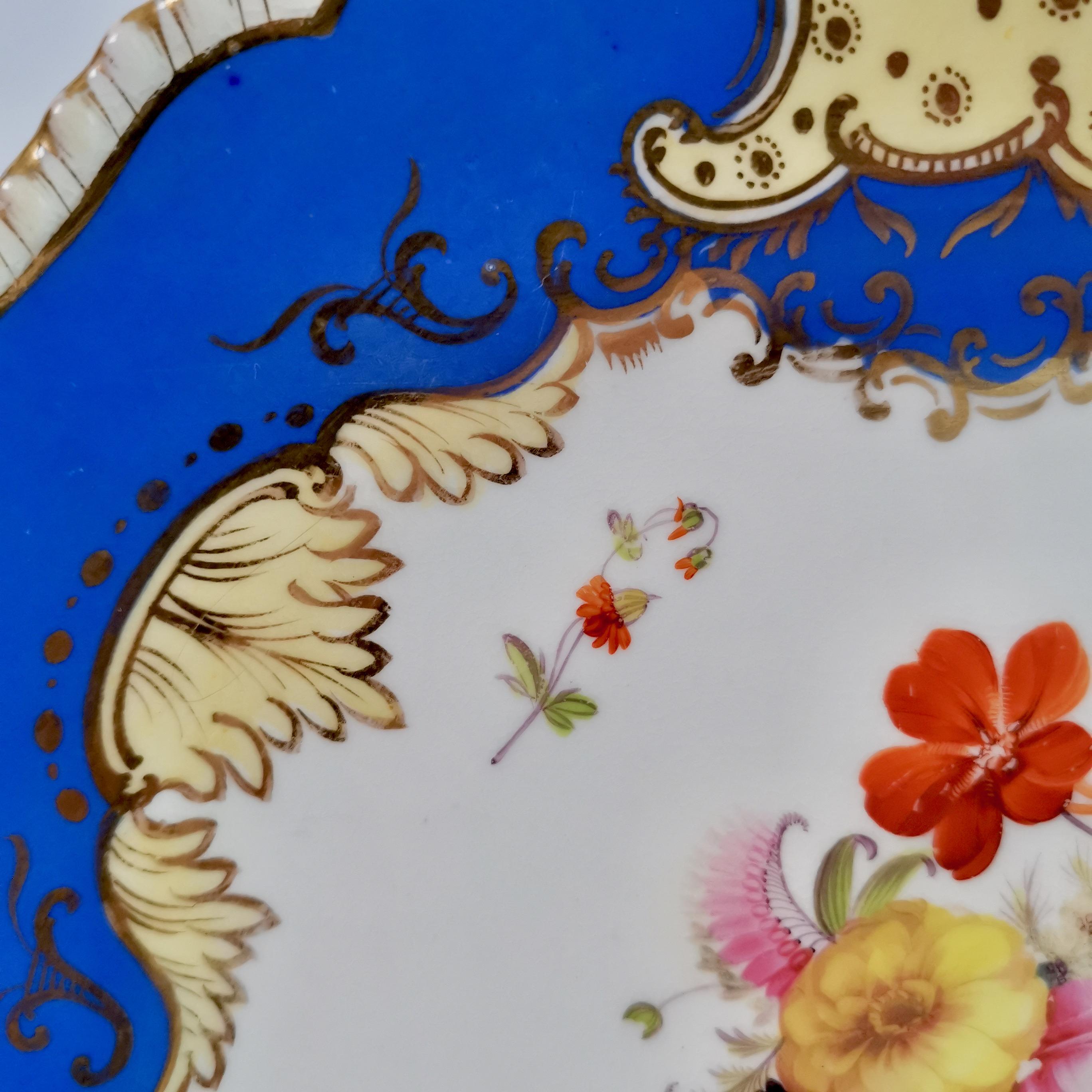 Hand-Painted Coalport Porcelain Plate, Brunswick Blue and Flowers, Regency, circa 1825