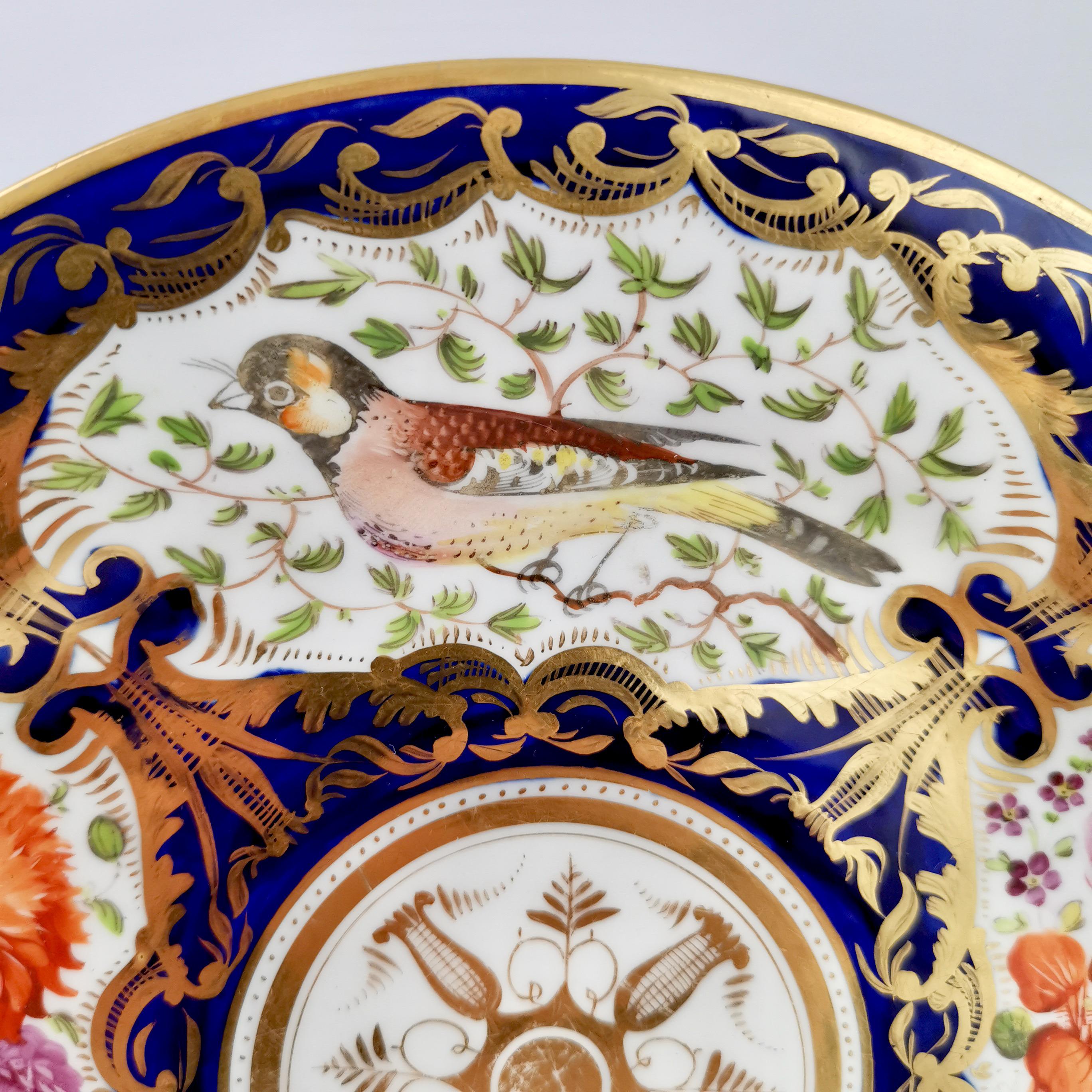 Coalport Porcelain Plate, Cobalt Blue and Birds Patt. 759, Regency ca 1815 In Good Condition In London, GB