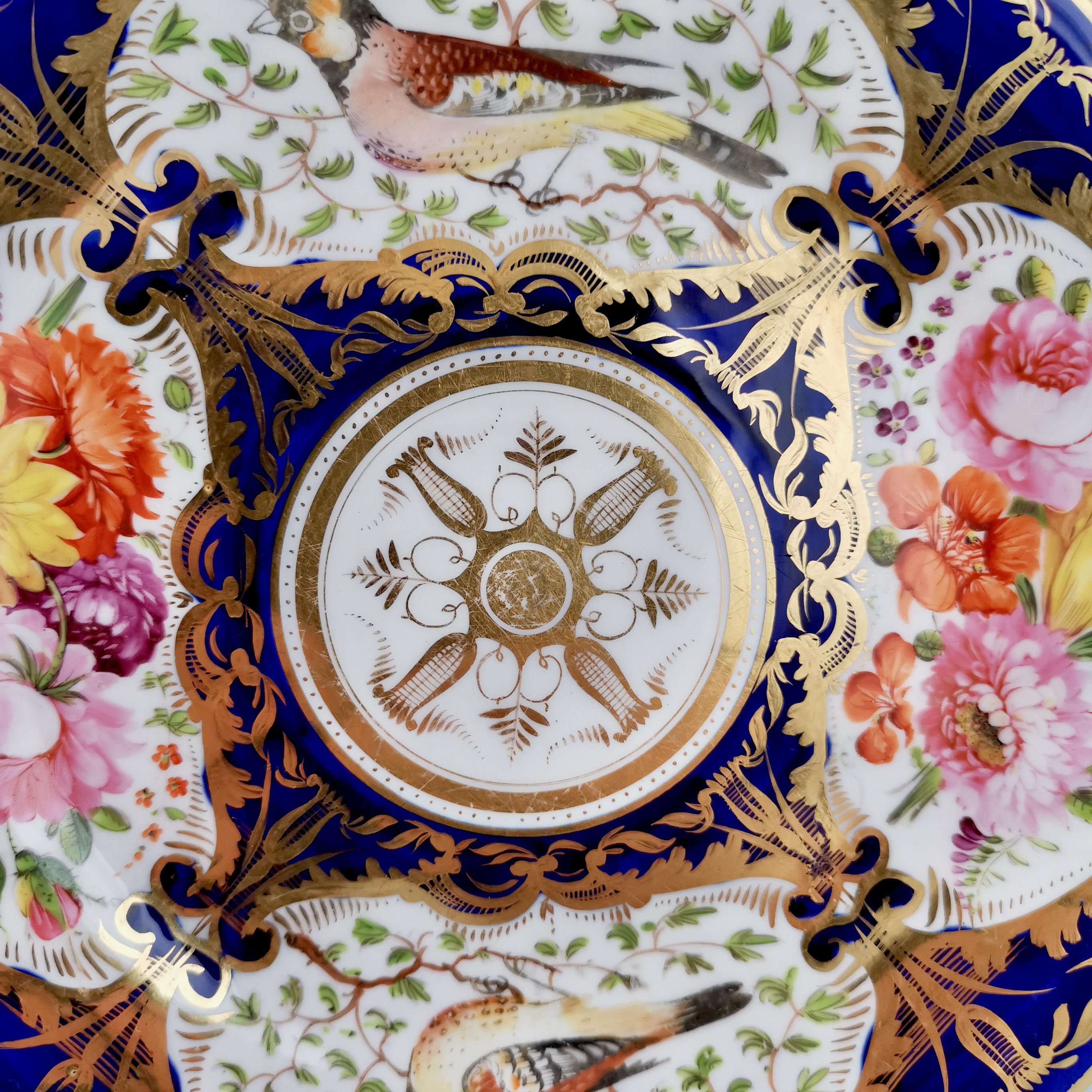 Coalport Porcelain Plate, Cobalt Blue and Birds Patt. 759, Regency ca 1815 2
