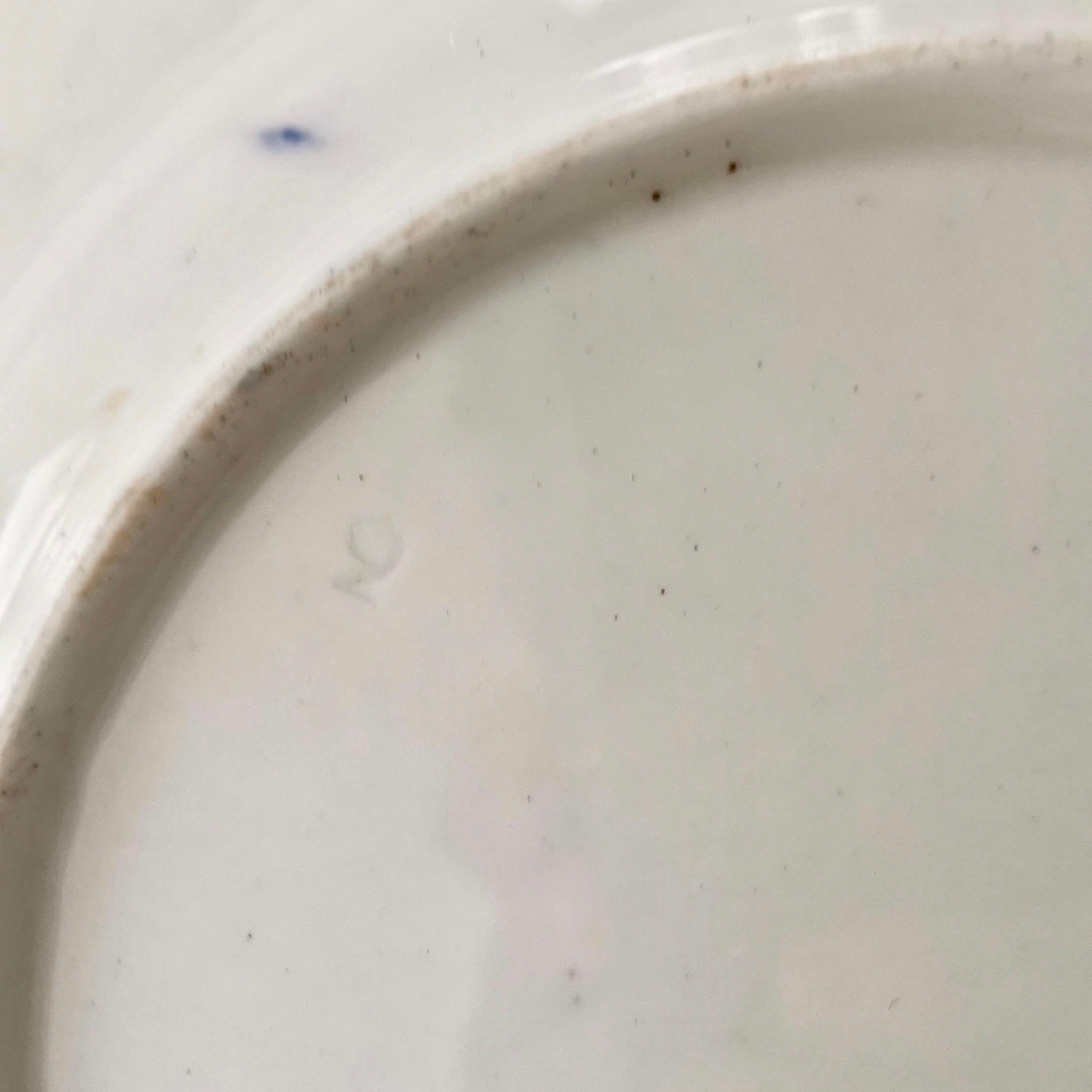 Coalport Porcelain Plate, Cobalt Blue and Spectacular Flowers, Regency 1820-1825 7