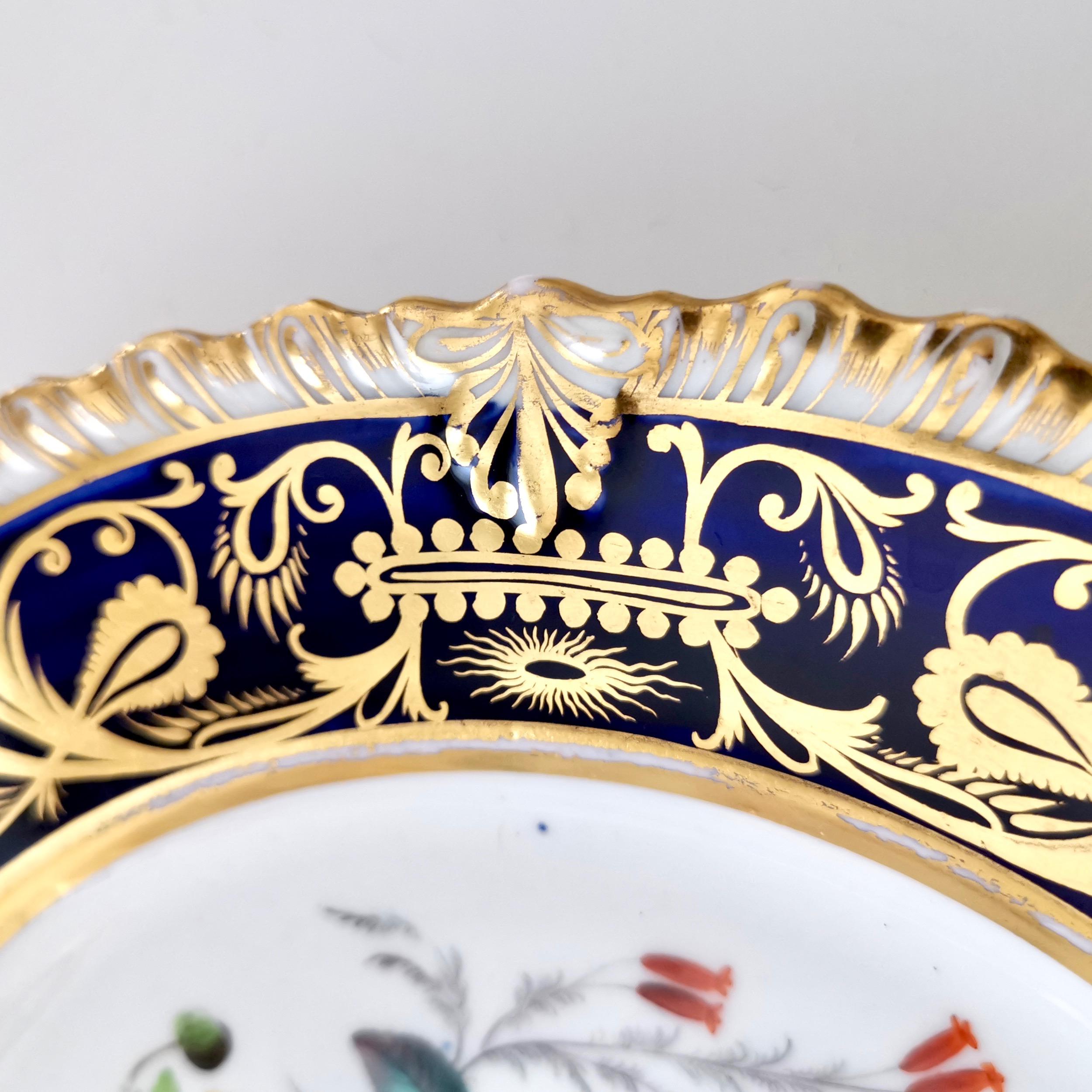 Early 19th Century Coalport Porcelain Plate, Cobalt Blue and Spectacular Flowers, Regency 1820-1825