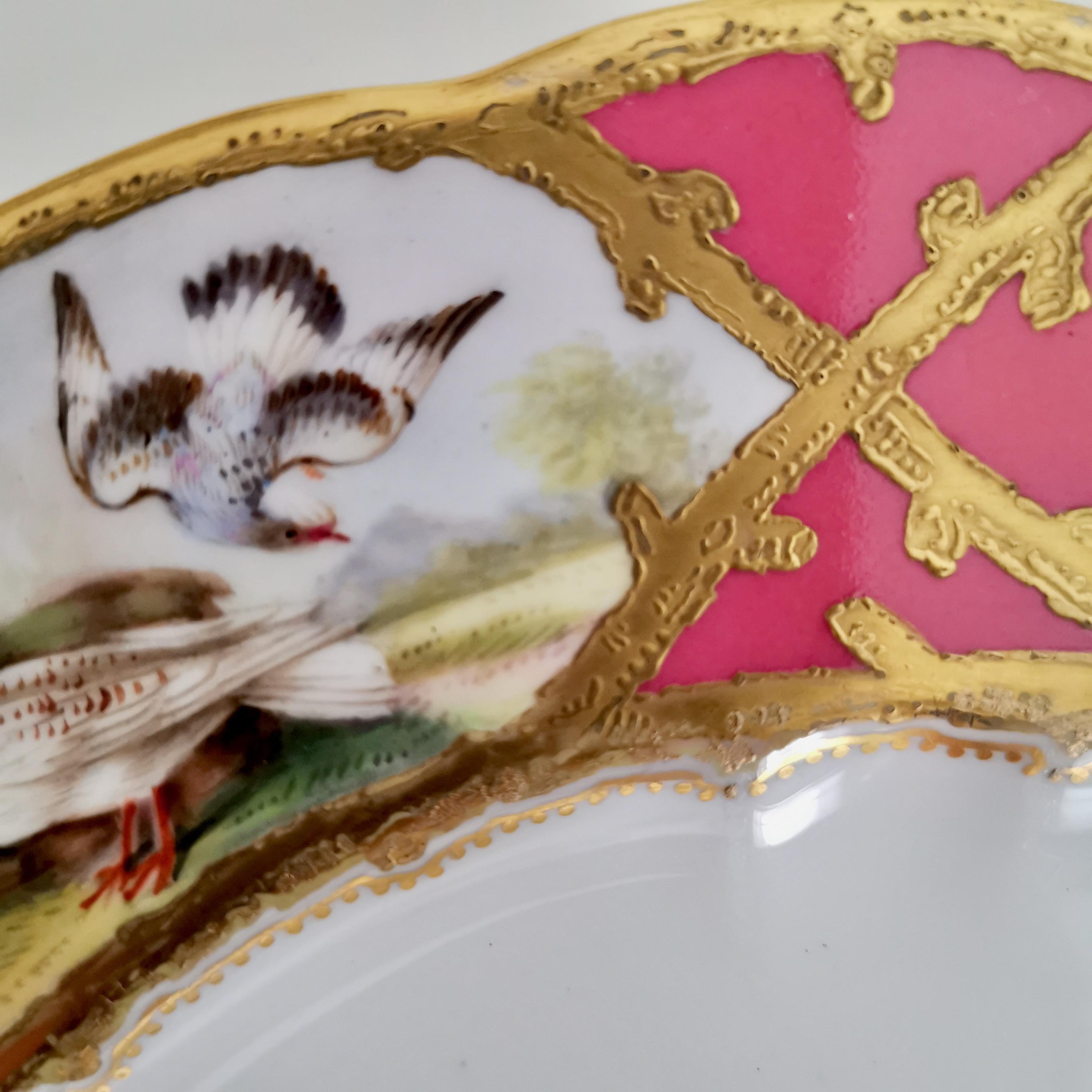 Coalport Porcelain Plate, Hot Pink with Birds and Fish, Raised Gilt, ca 1870 3