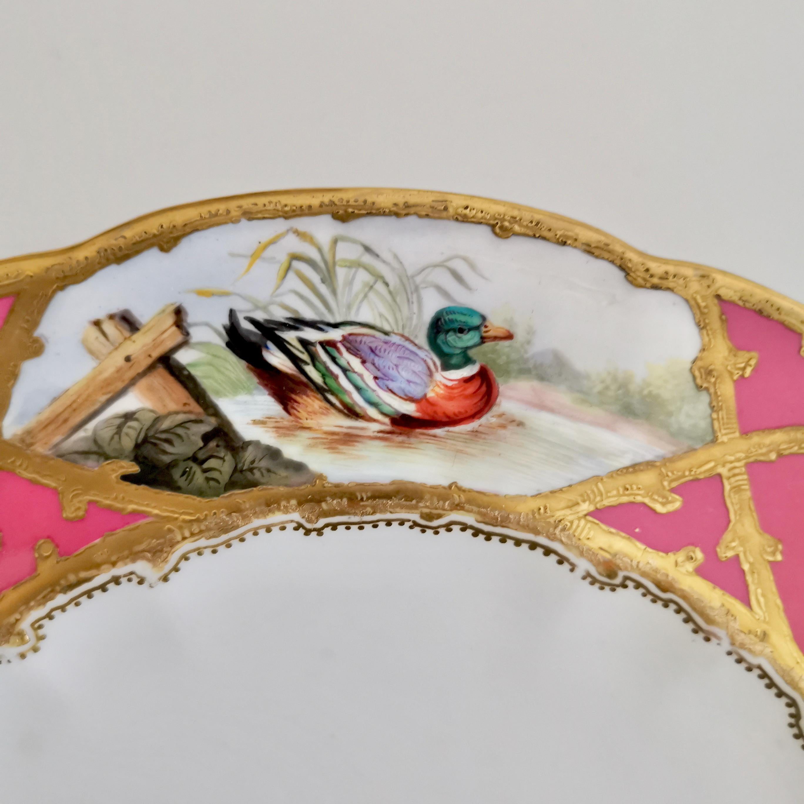 Victorian Coalport Porcelain Plate, Hot Pink with Birds and Fish, Raised Gilt, ca 1870