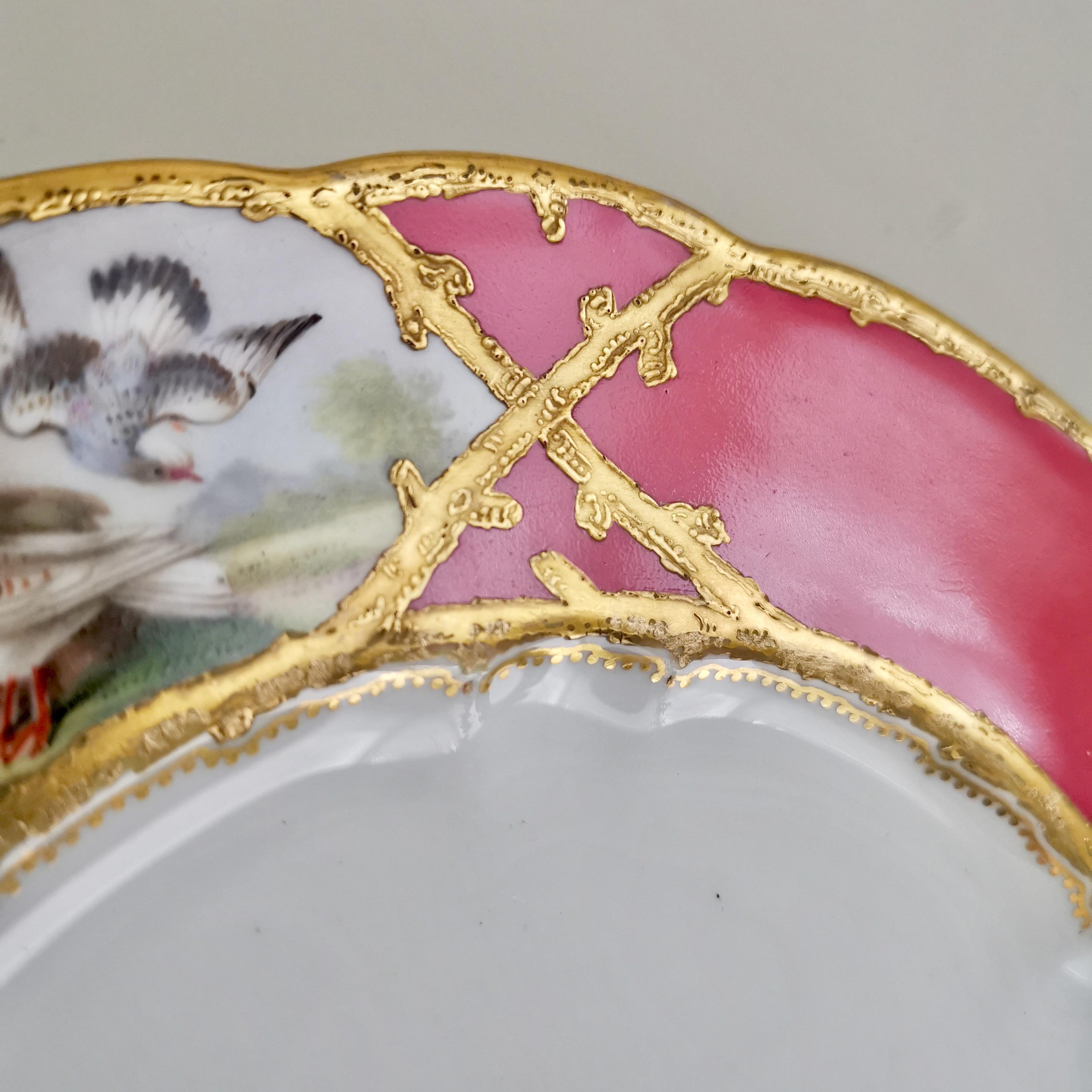 English Coalport Porcelain Plate, Hot Pink with Birds and Fish, Raised Gilt, ca 1870