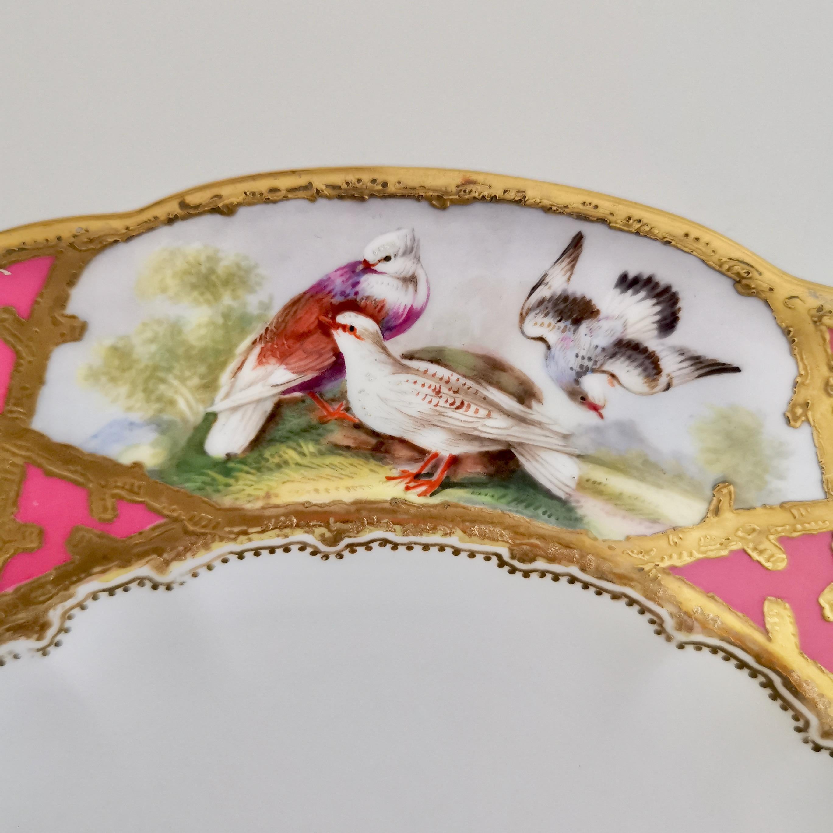 Hand-Painted Coalport Porcelain Plate, Hot Pink with Birds and Fish, Raised Gilt, ca 1870