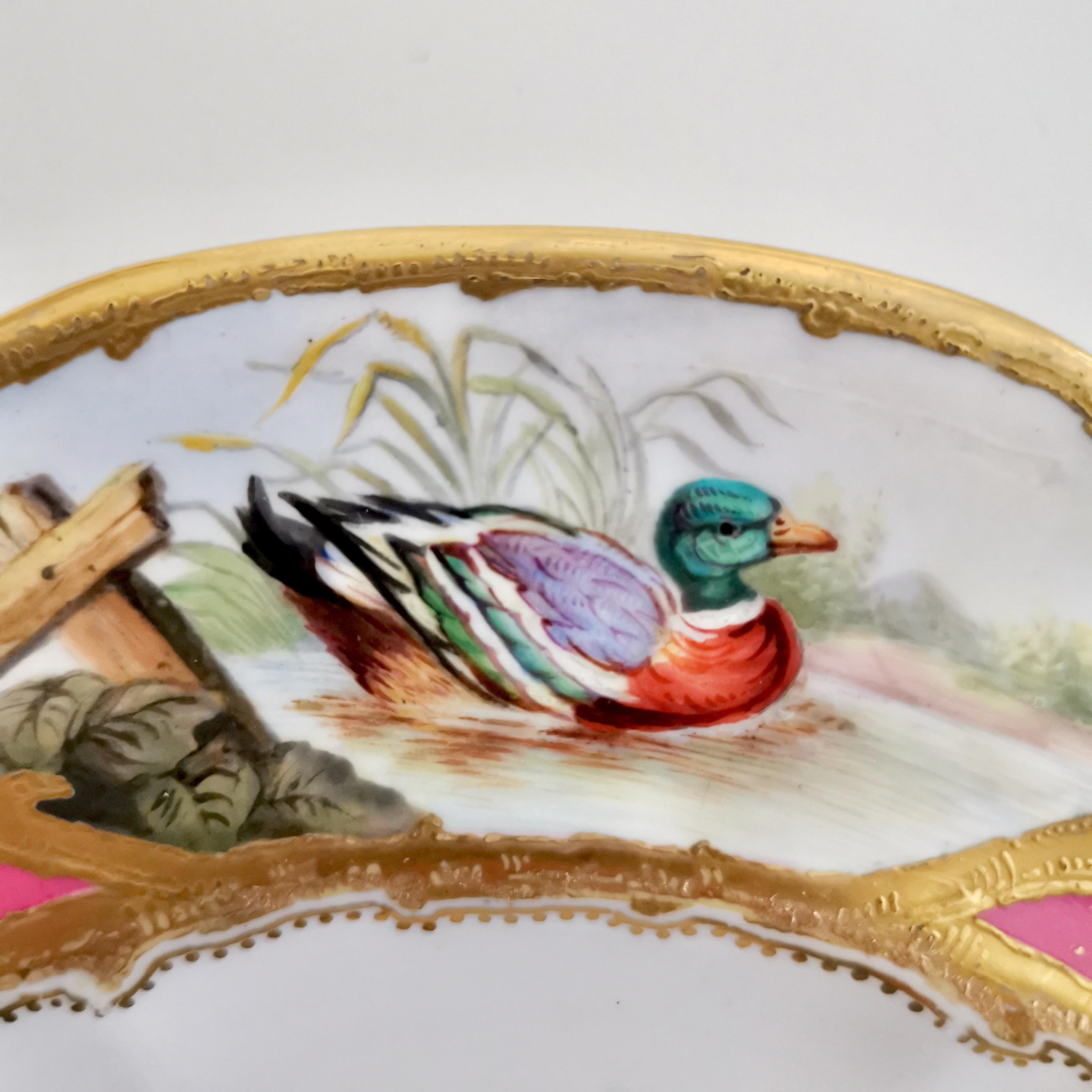 Late 19th Century Coalport Porcelain Plate, Hot Pink with Birds and Fish, Raised Gilt, ca 1870