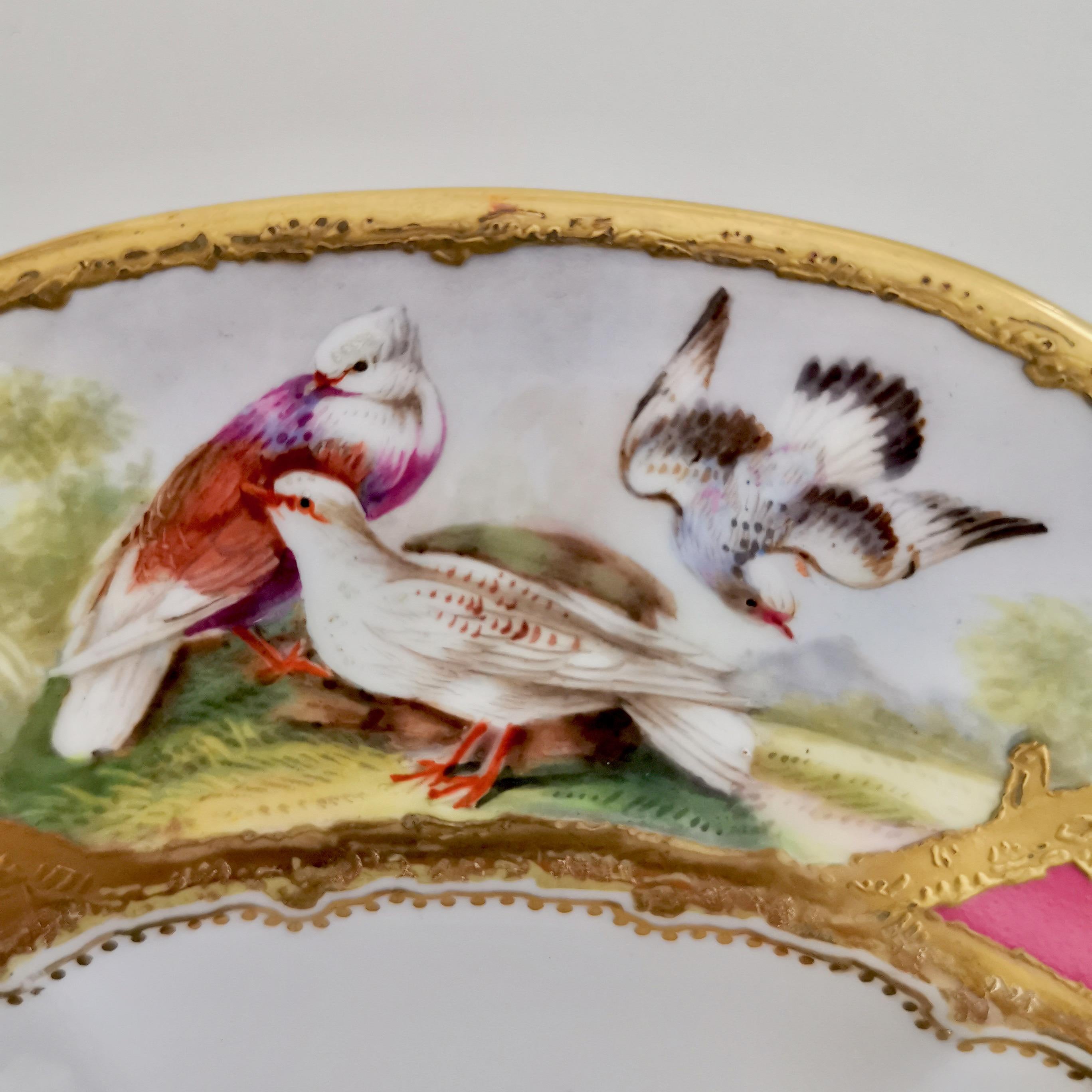 Coalport Porcelain Plate, Hot Pink with Birds and Fish, Raised Gilt, ca 1870 1