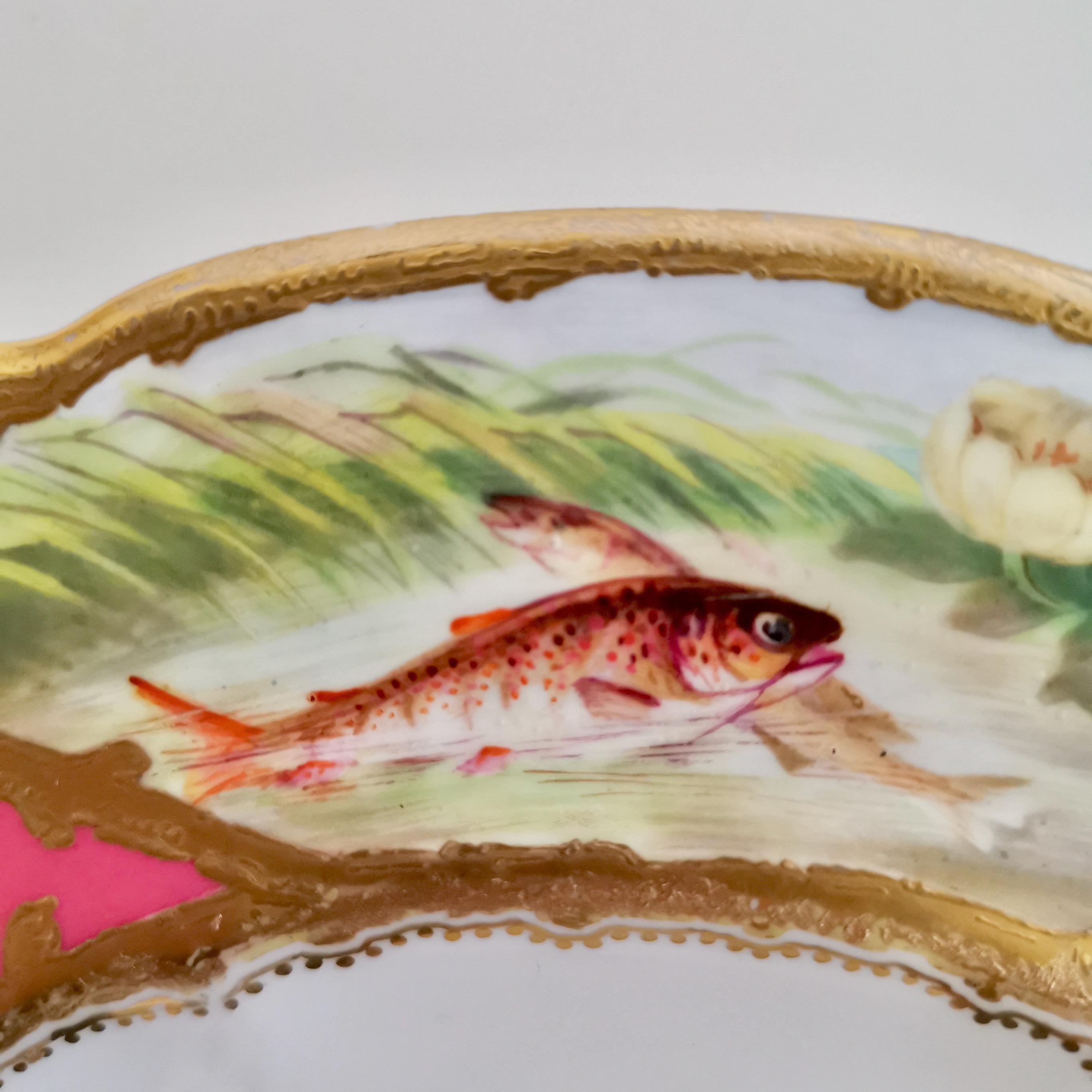 Coalport Porcelain Plate, Hot Pink with Birds and Fish, Raised Gilt, ca 1870 2