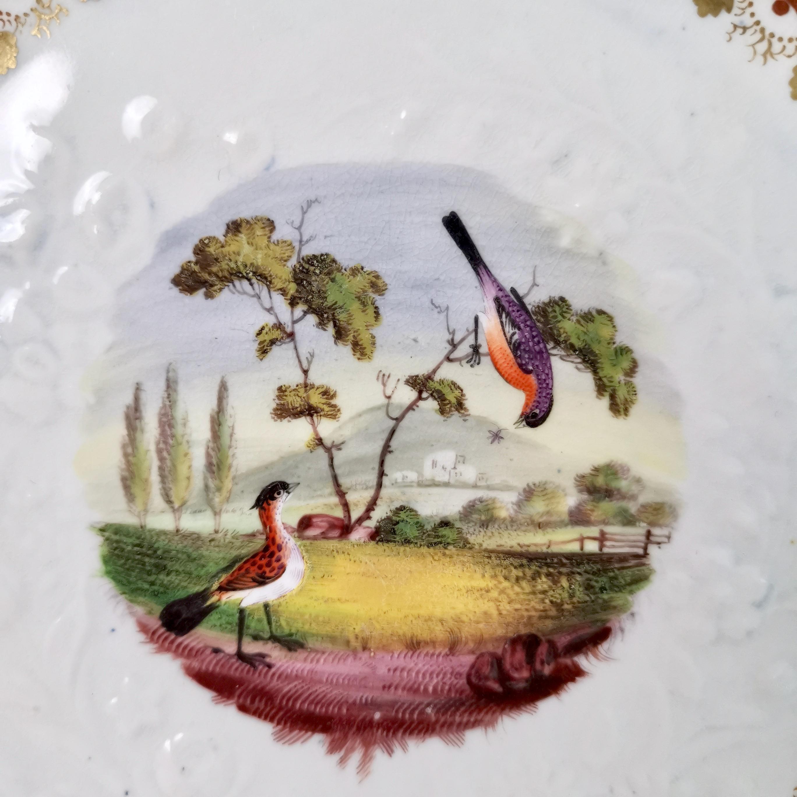 coalport plate