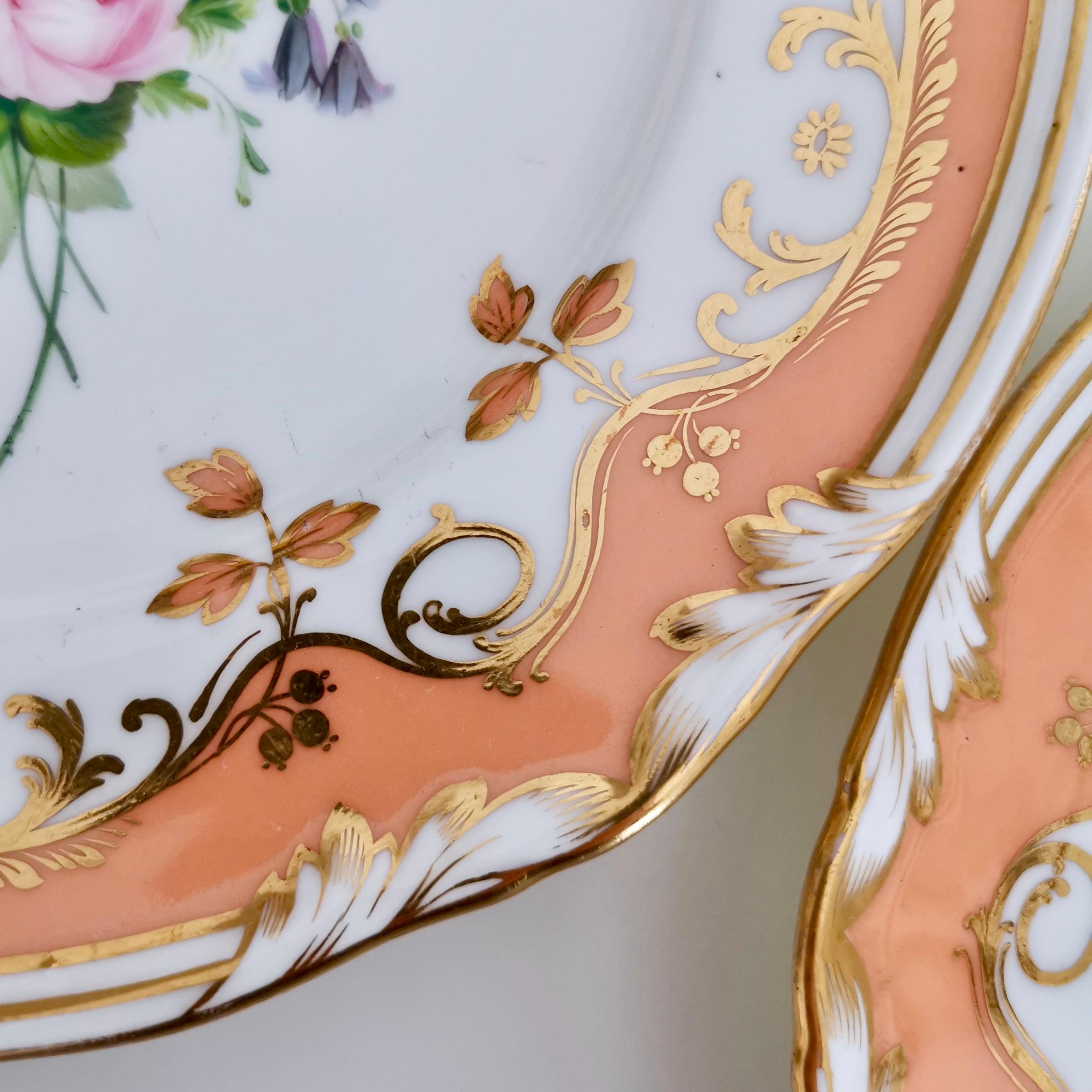 Hand-Painted Coalport Porcelain Plate, Peach Ground and Flowers by Thomas Dixon, '1'