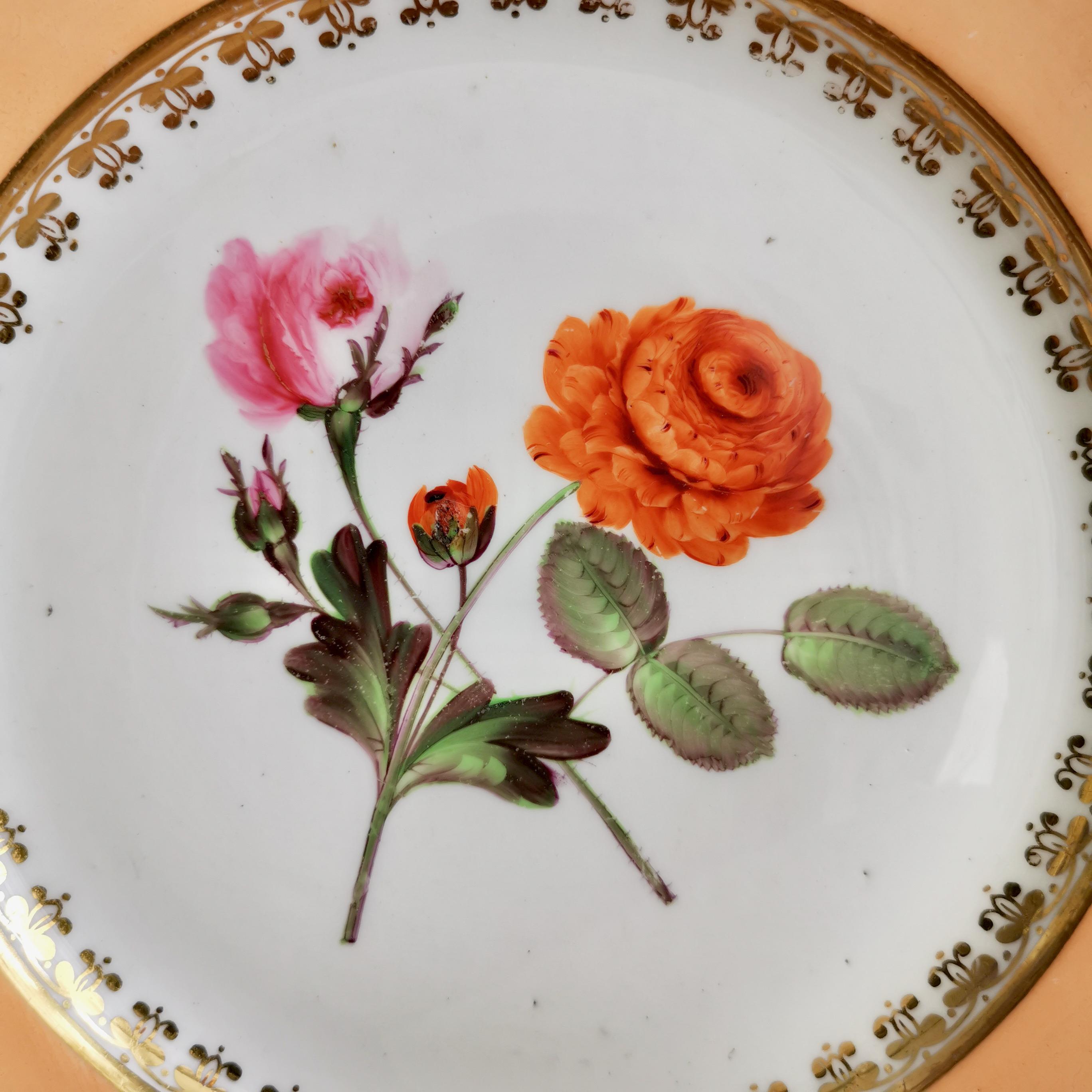 English Coalport Porcelain Plate, Peach with Flowers, Regency, 1820-1825