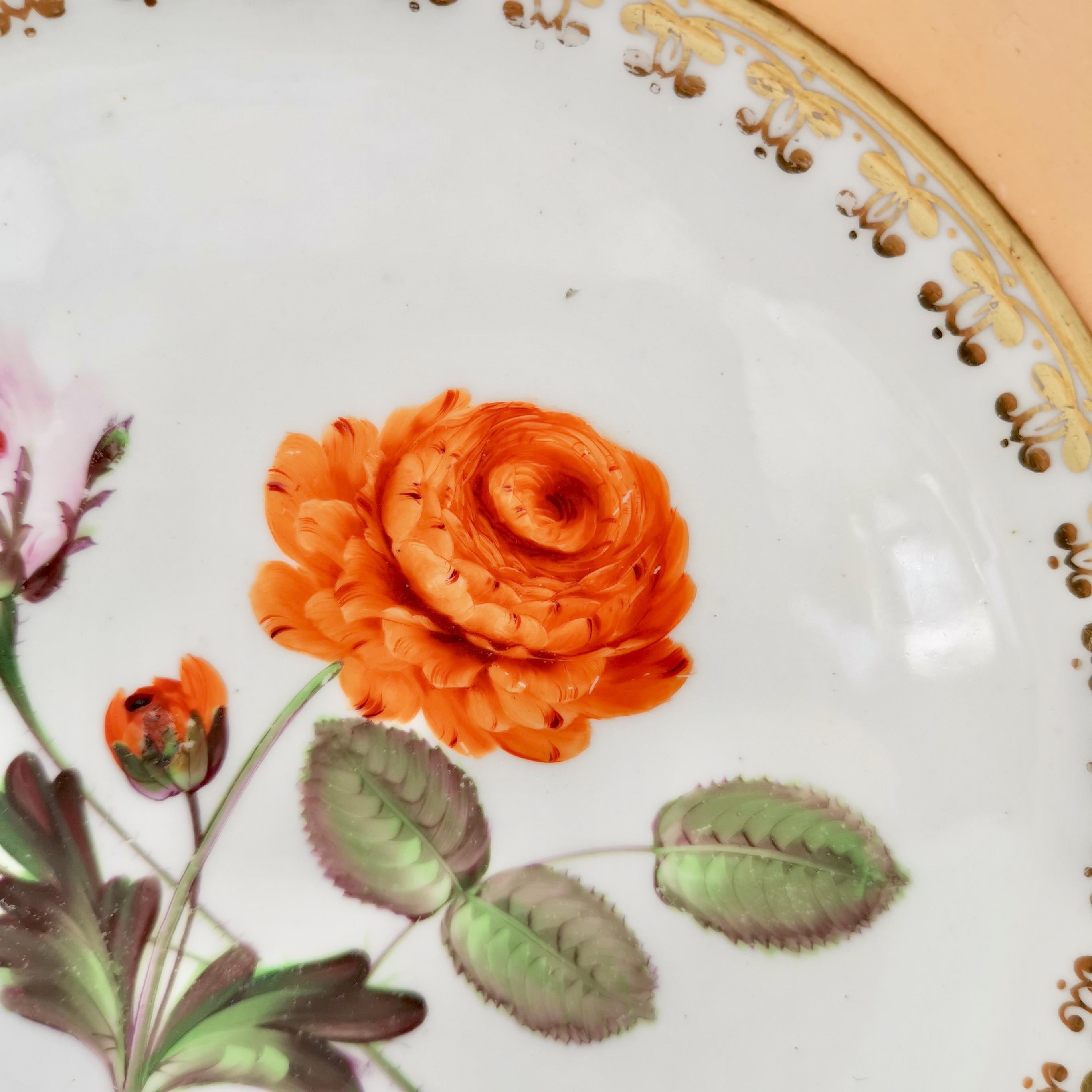 Hand-Painted Coalport Porcelain Plate, Peach with Flowers, Regency, 1820-1825