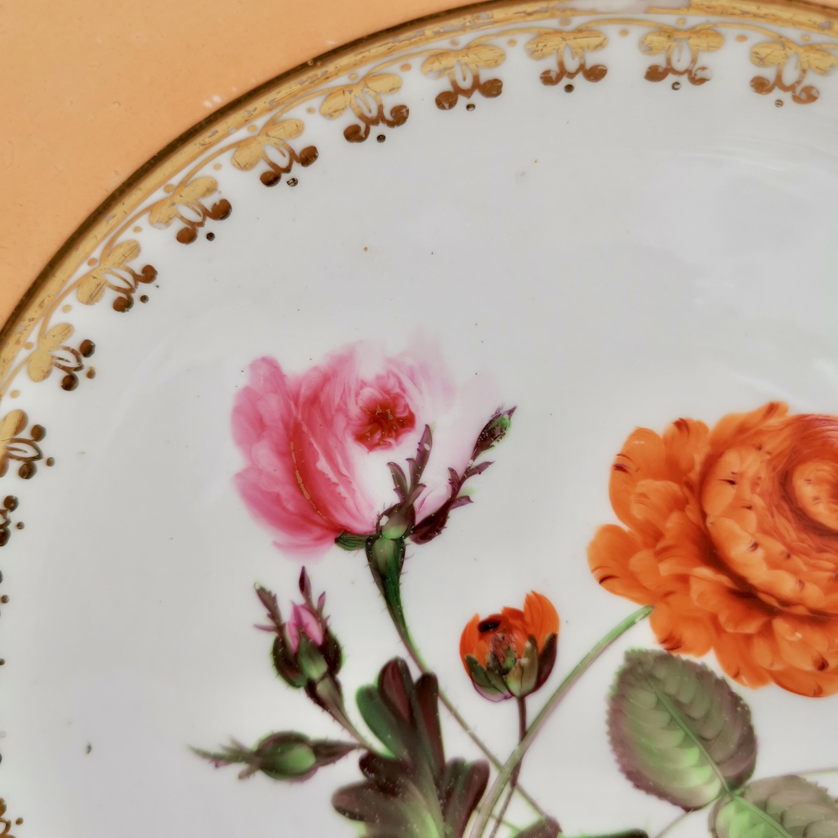 Coalport Porcelain Plate, Peach with Flowers, Regency, 1820-1825 In Good Condition In London, GB