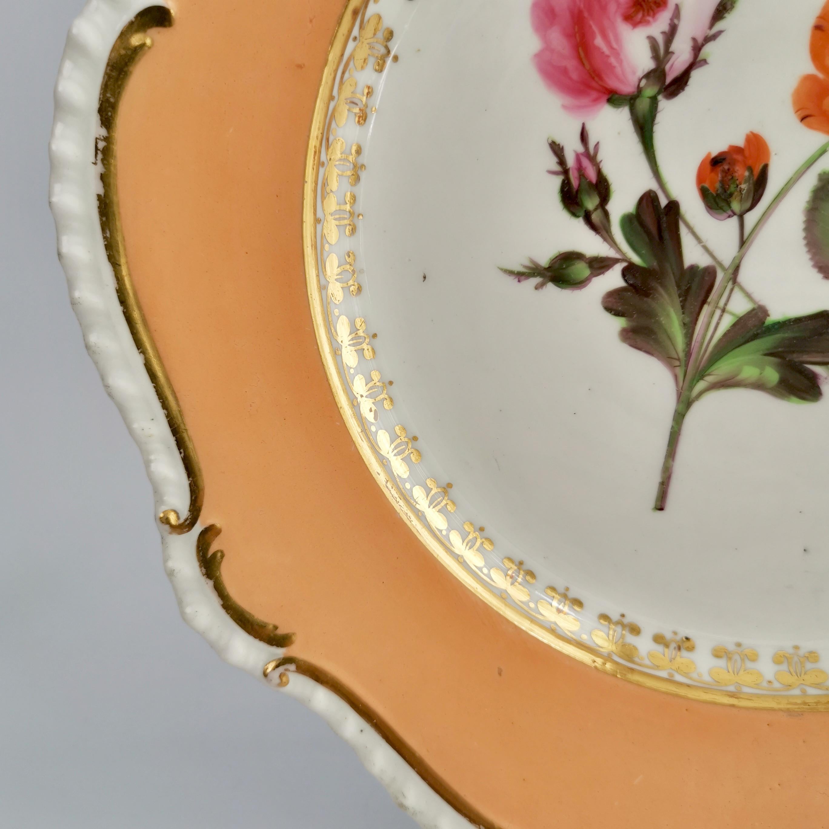 Early 19th Century Coalport Porcelain Plate, Peach with Flowers, Regency, 1820-1825