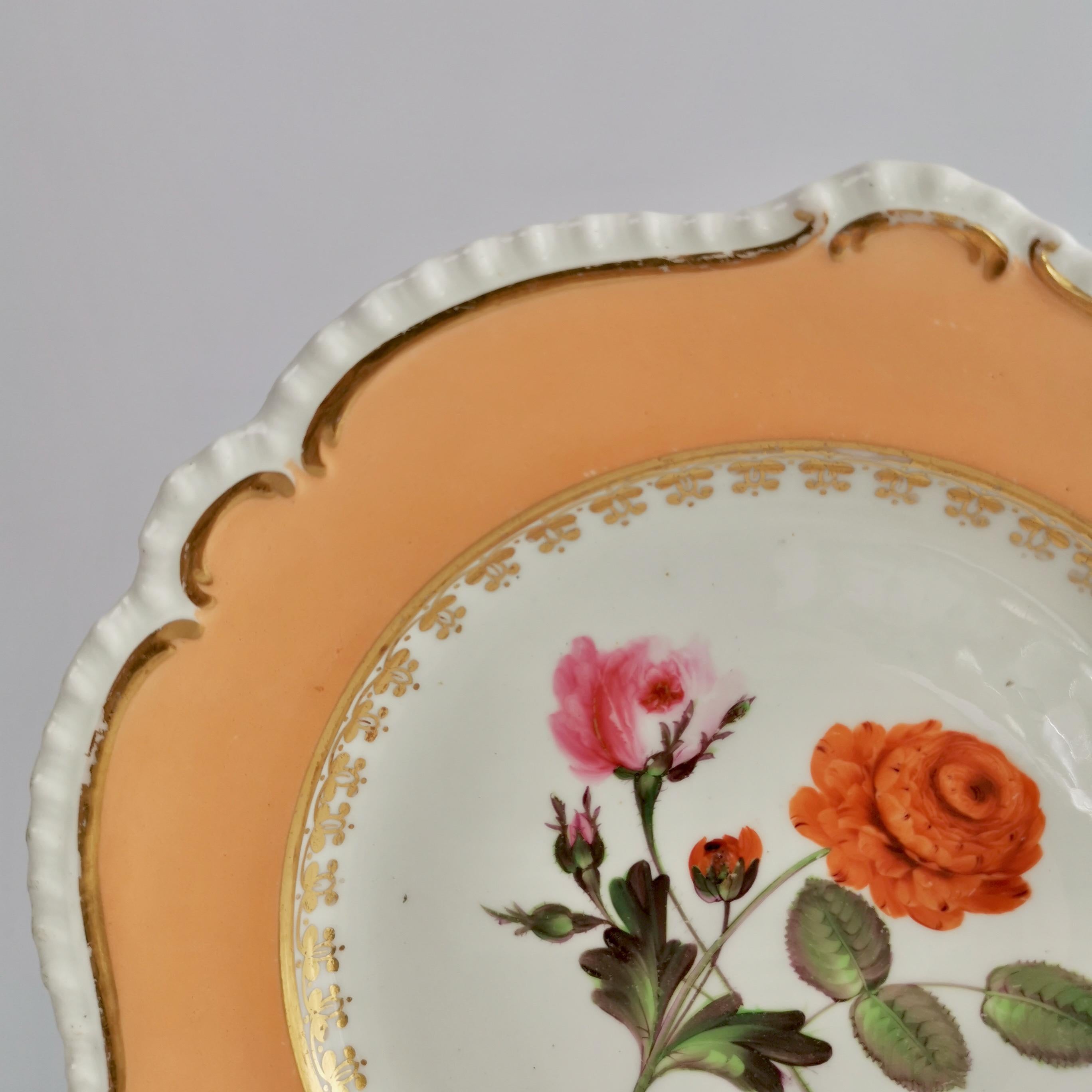 Coalport Porcelain Plate, Peach with Flowers, Regency, 1820-1825 1