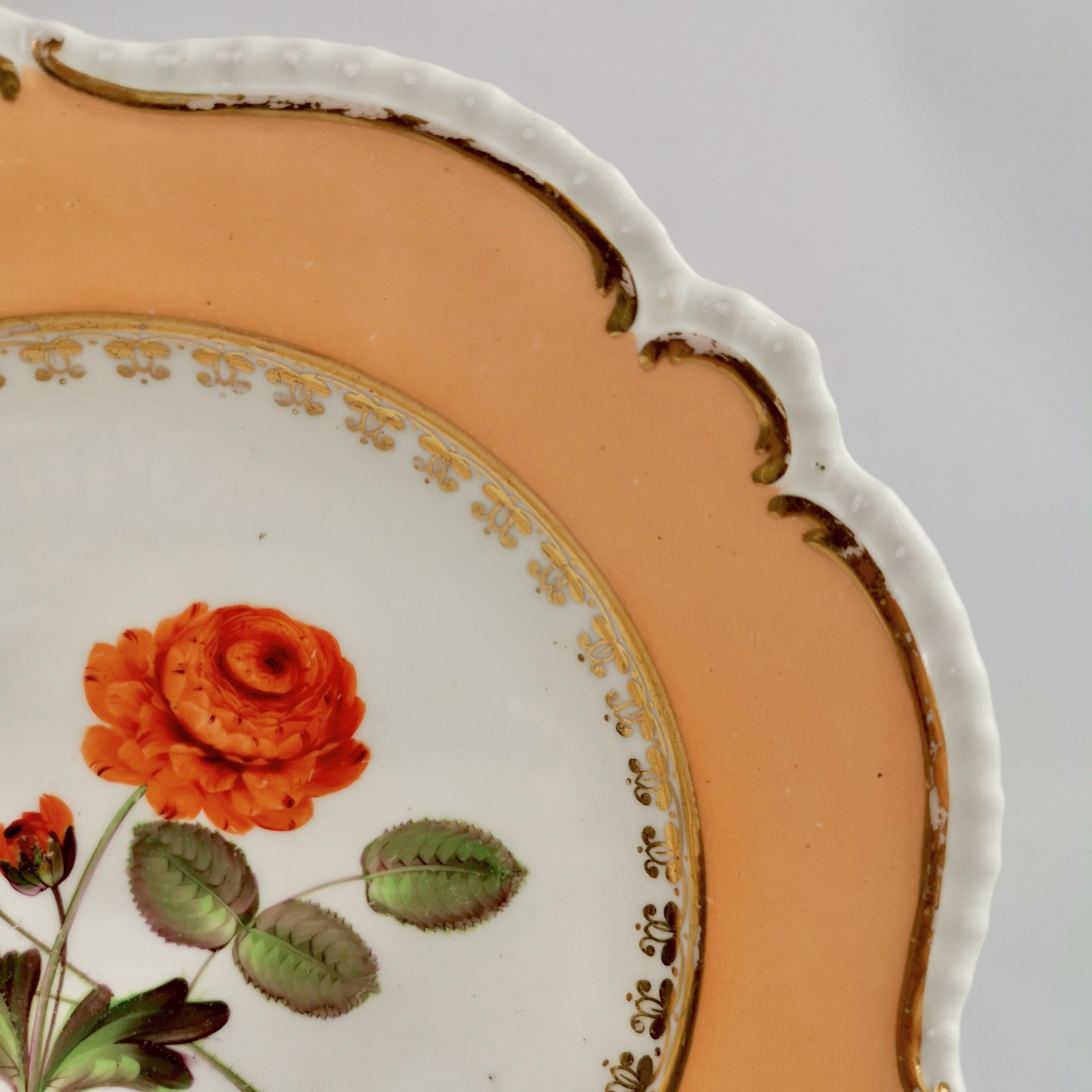 Coalport Porcelain Plate, Peach with Flowers, Regency, 1820-1825 2