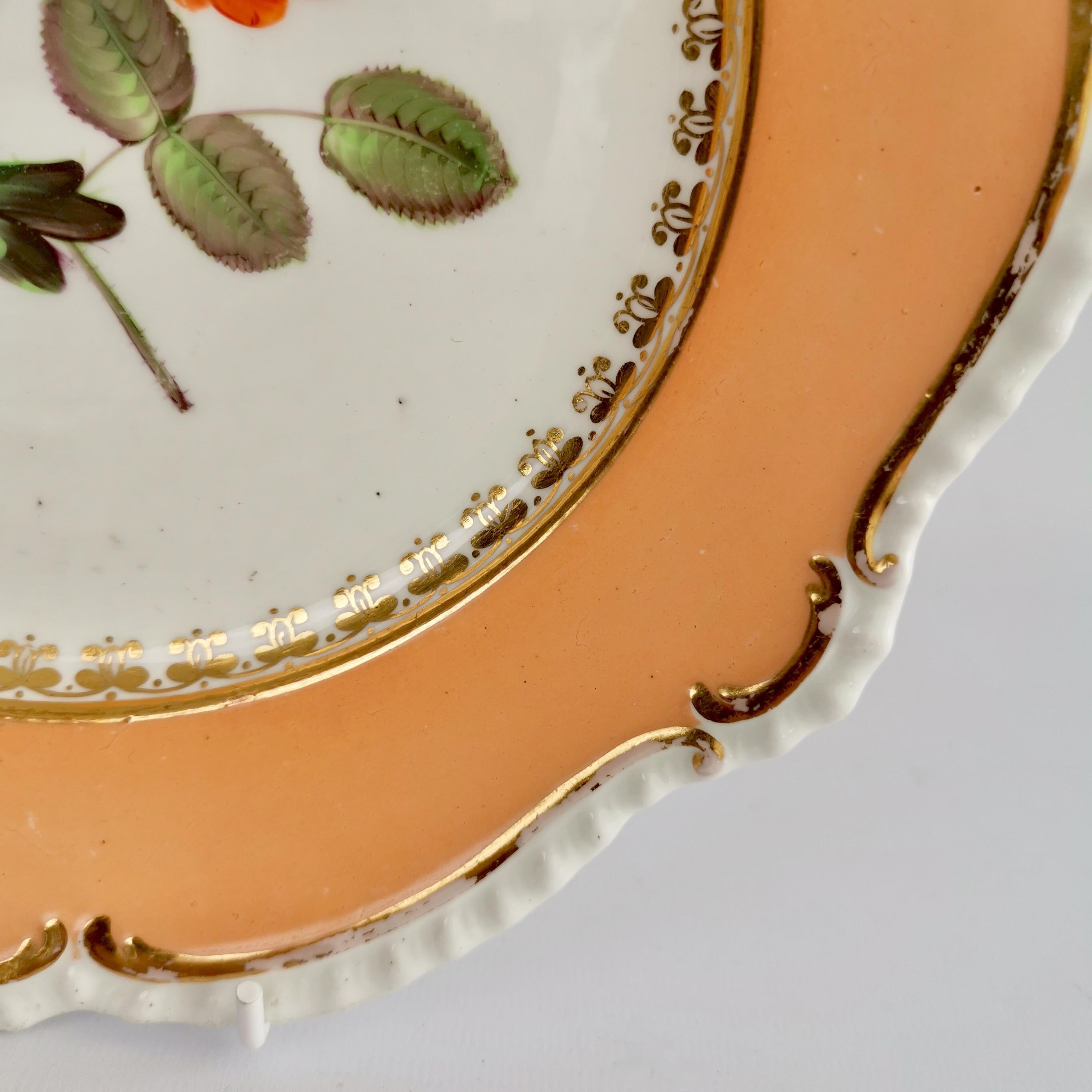 Coalport Porcelain Plate, Peach with Flowers, Regency, 1820-1825 3