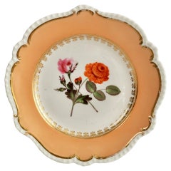 Coalport Porcelain Plate, Peach with Flowers, Regency, 1820-1825