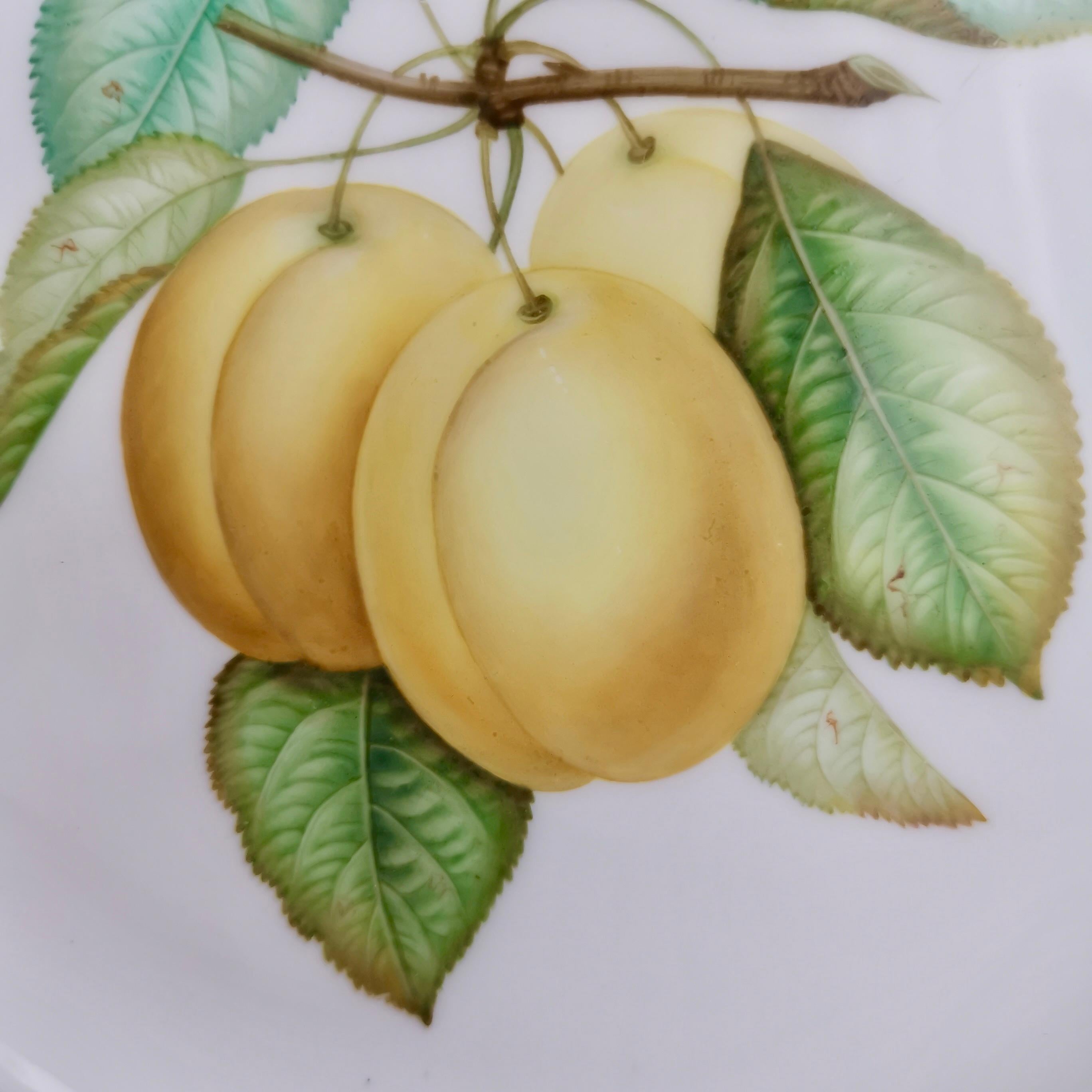 Hand-Painted Coalport Porcelain Plate, Pierced Rim, Yellow Plums by Joseph Birbeck, ca 1848