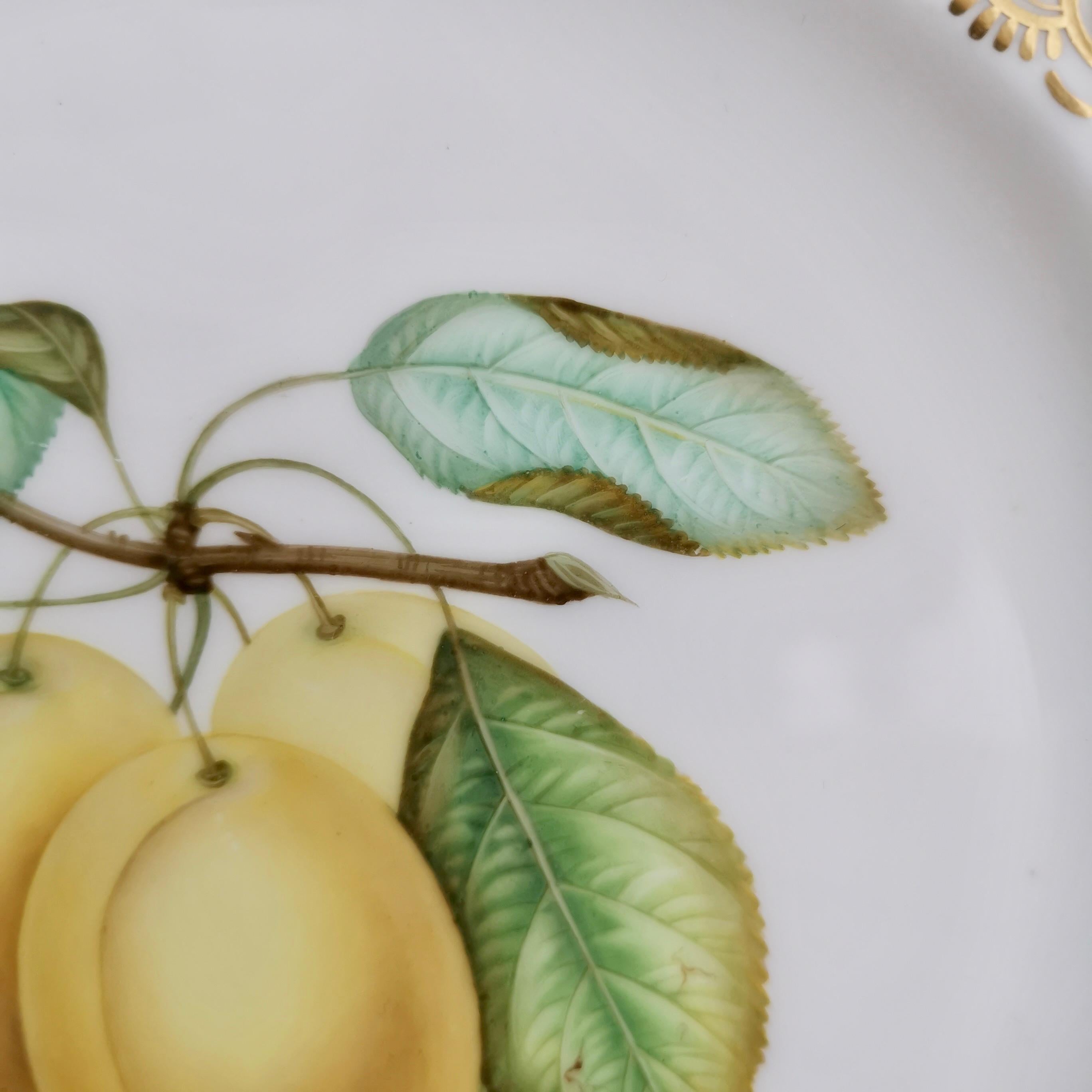 Coalport Porcelain Plate, Pierced Rim, Yellow Plums by Joseph Birbeck, ca 1848 In Good Condition In London, GB