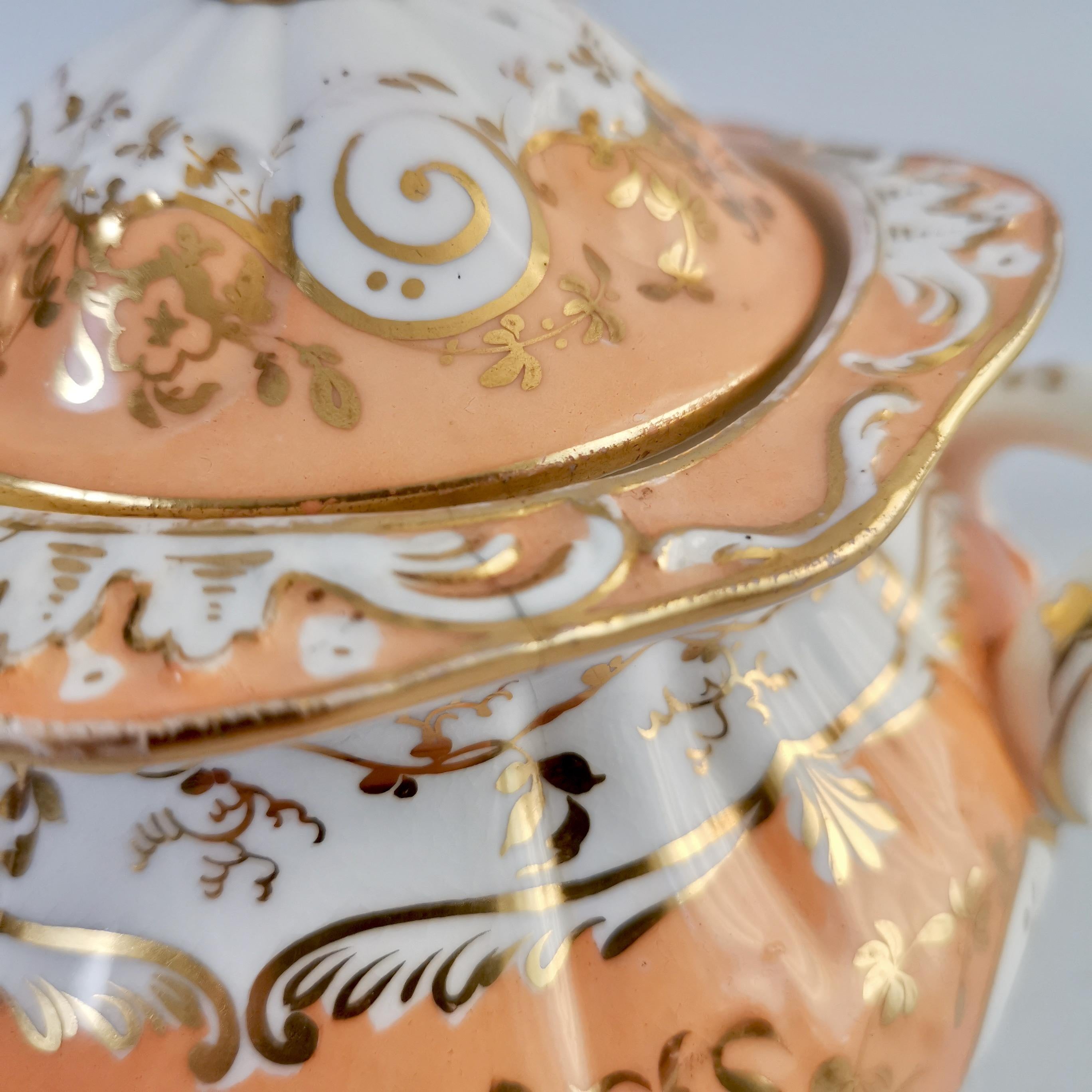 Coalport Porcelain Sucrier, Apricot and Gilt, Rococo Revival, circa 1835 5