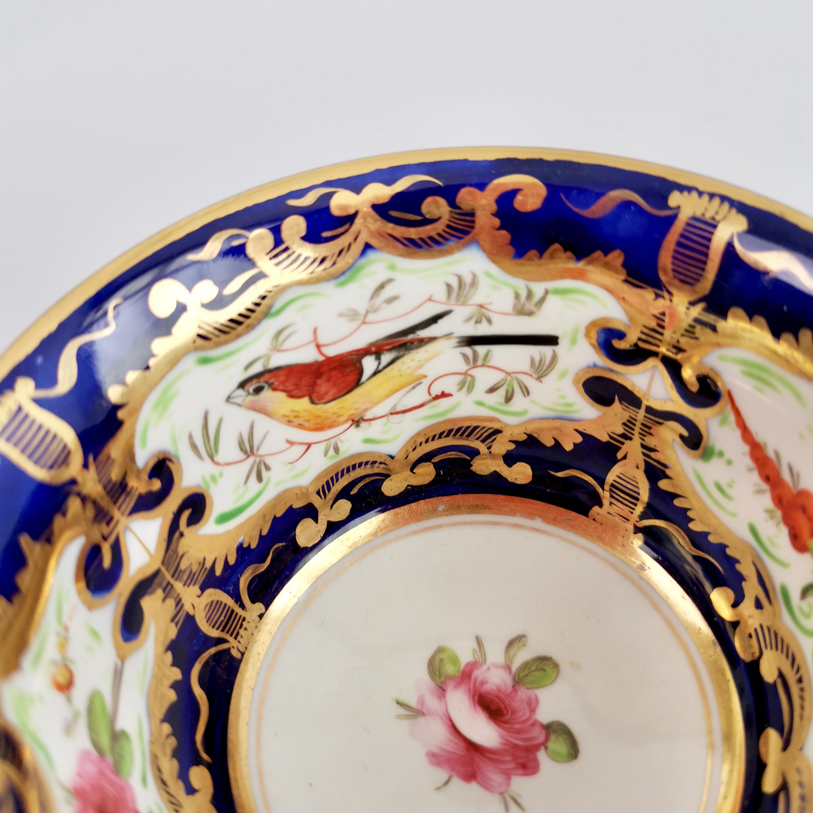 Coalport Porcelain Teacup, Cobalt Blue, Gilt and Birds Patt. 759, Regency c 1815 4