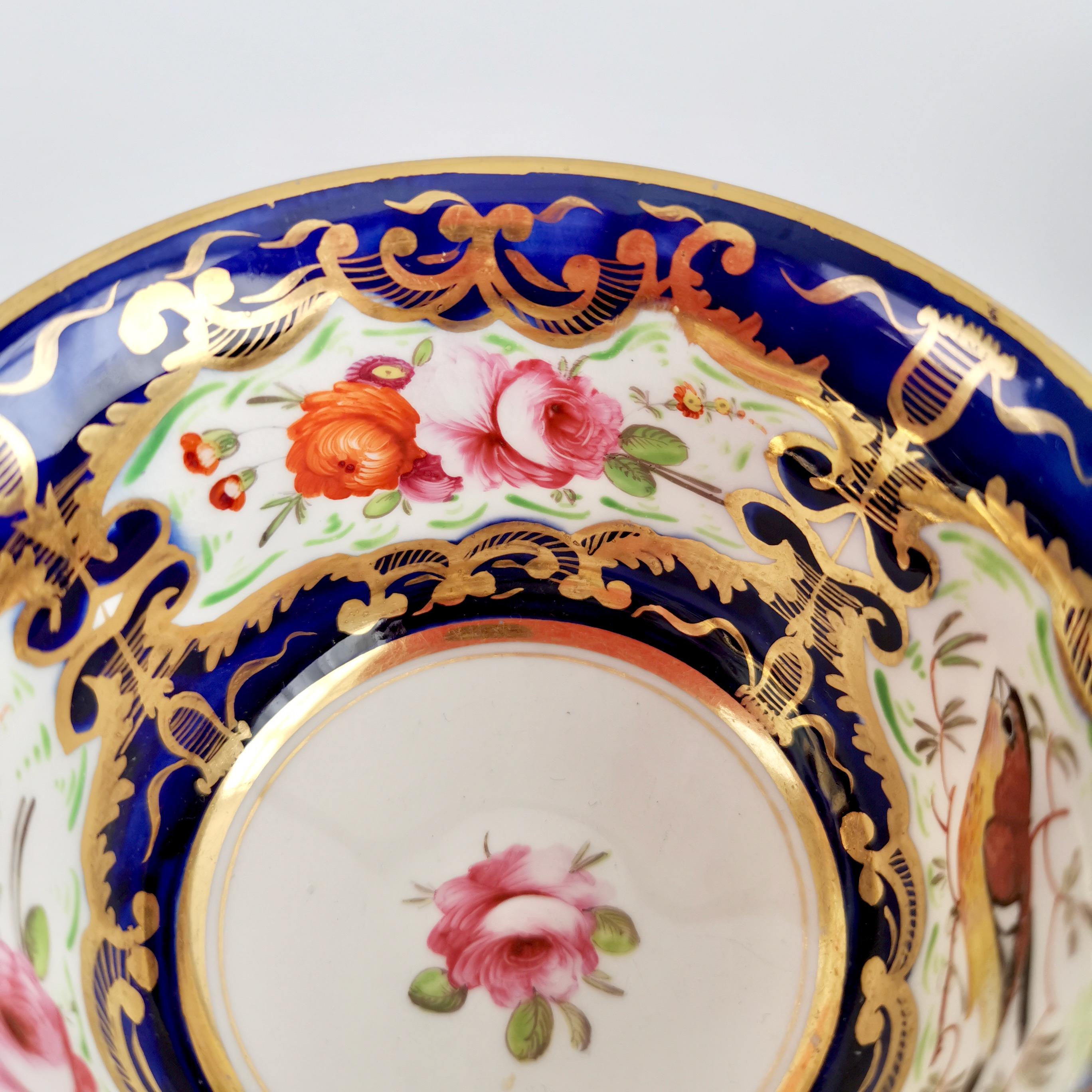 Coalport Porcelain Teacup, Cobalt Blue, Gilt and Birds Patt. 759, Regency c 1815 5