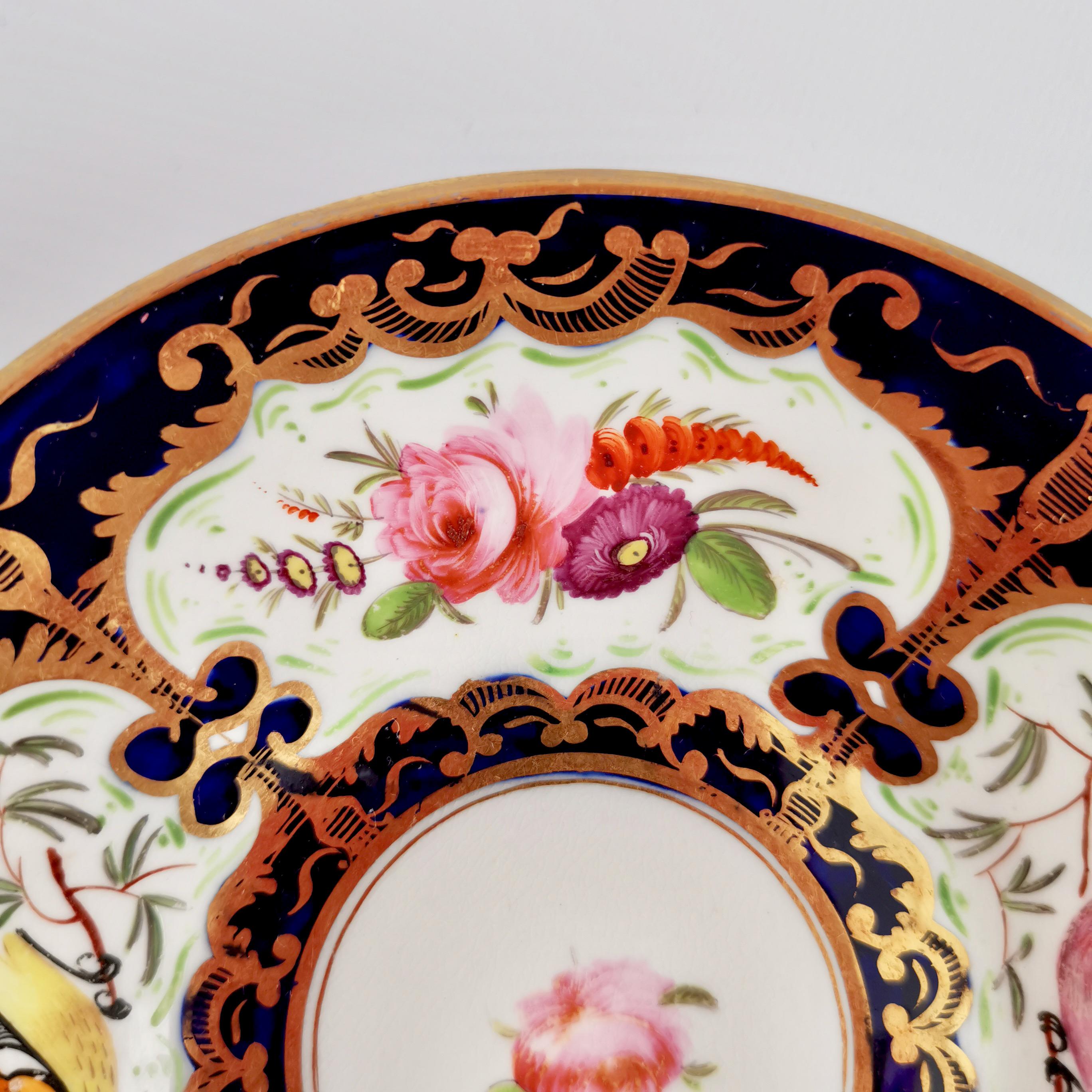 Coalport Porcelain Teacup, Cobalt Blue, Gilt and Birds Patt. 759, Regency c 1815 1