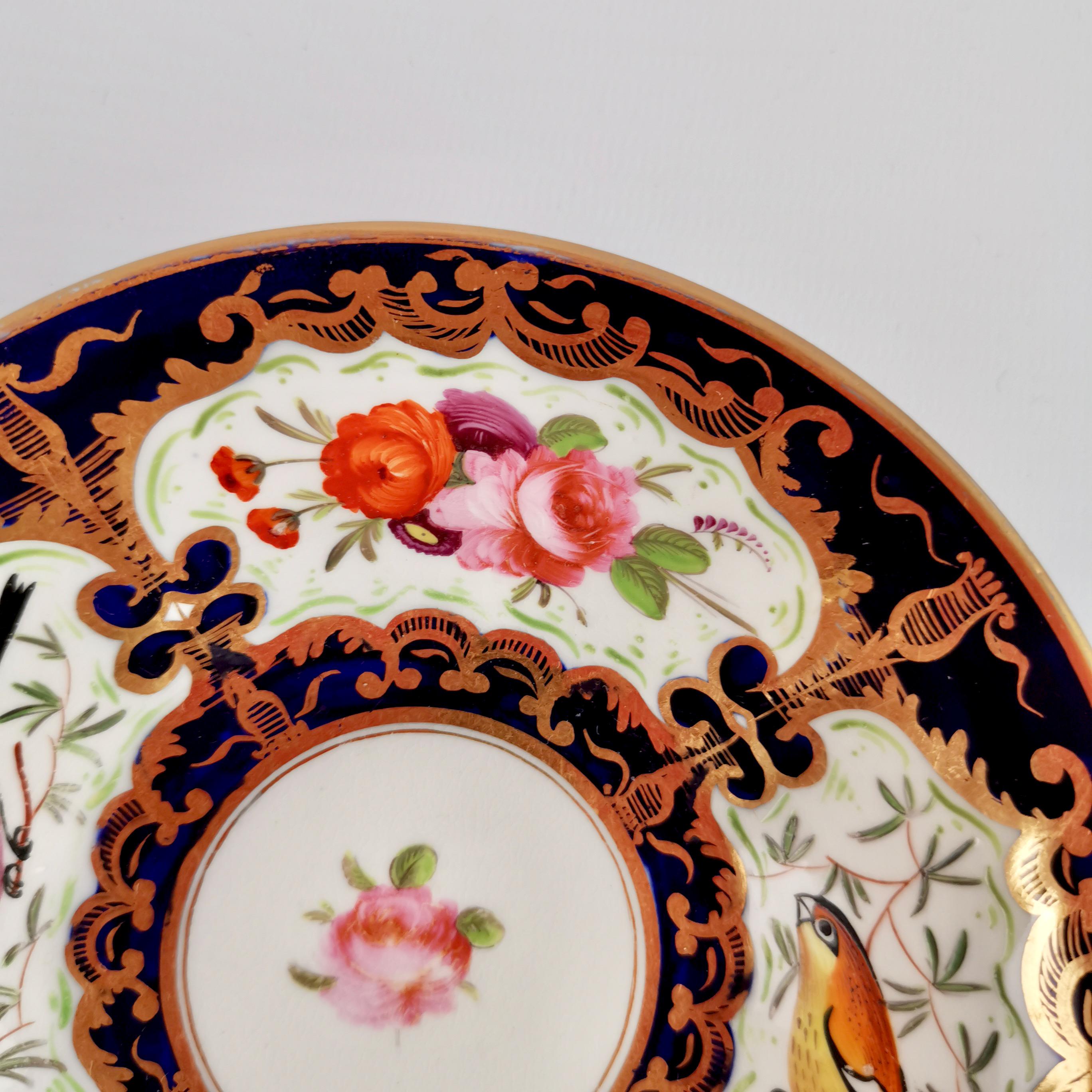 Coalport Porcelain Teacup, Cobalt Blue, Gilt and Birds Patt. 759, Regency c 1815 2