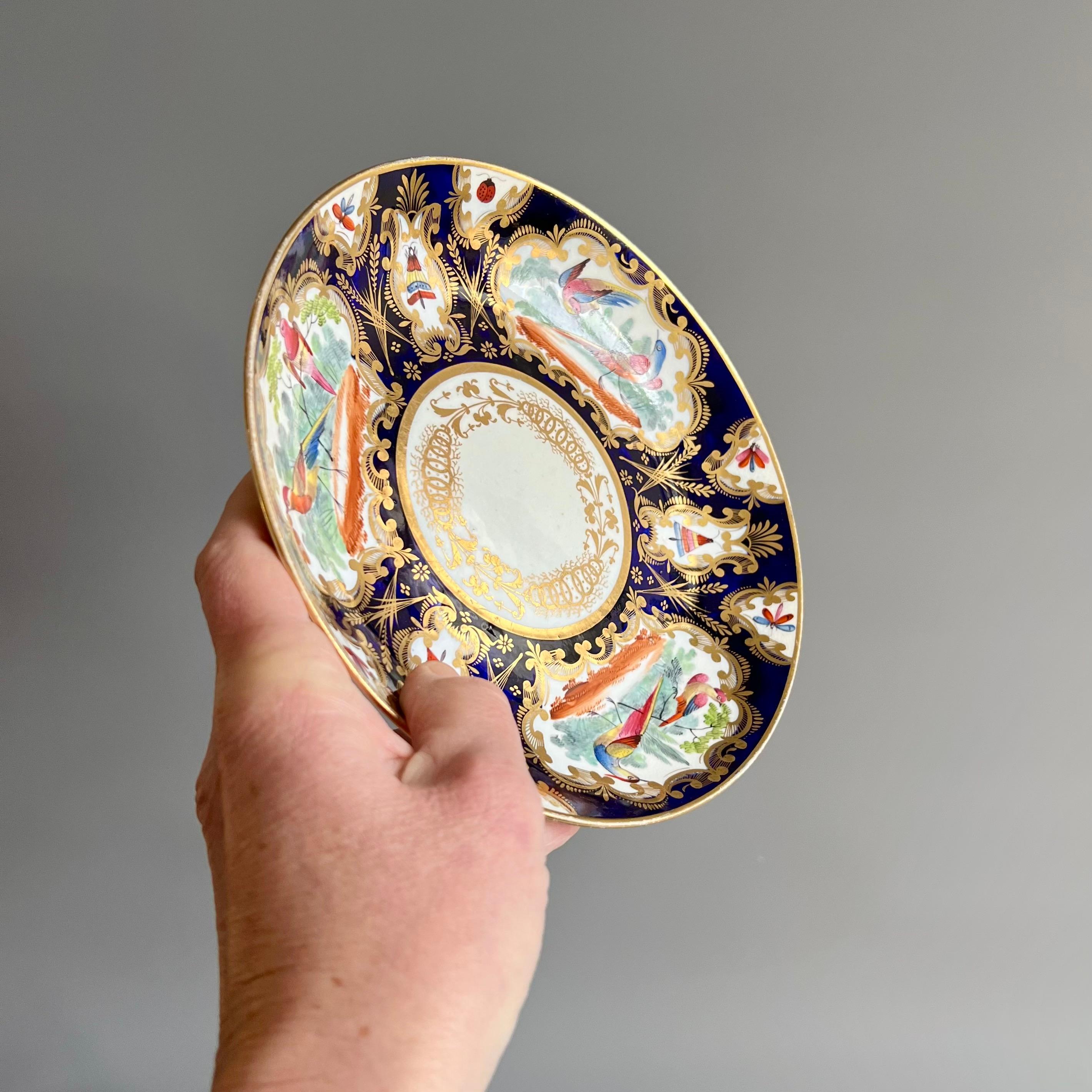 Assiette à soucoupe Coalport, bleu cobalt, doré et oiseaux, Régence, vers 1815 en vente 5