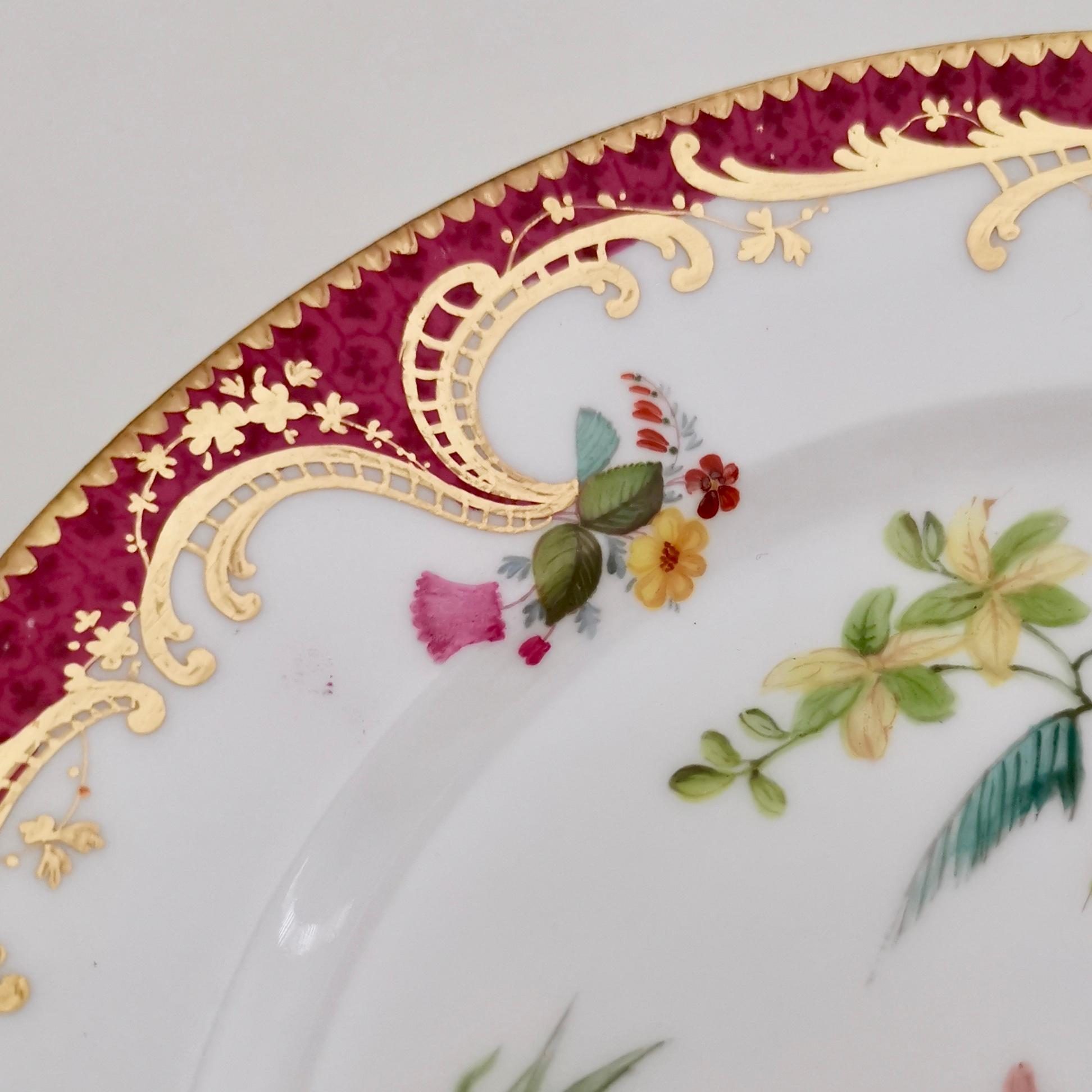 Coalport Set of 2 Small Plates, Humming Birds by John Randall, circa 1865 4