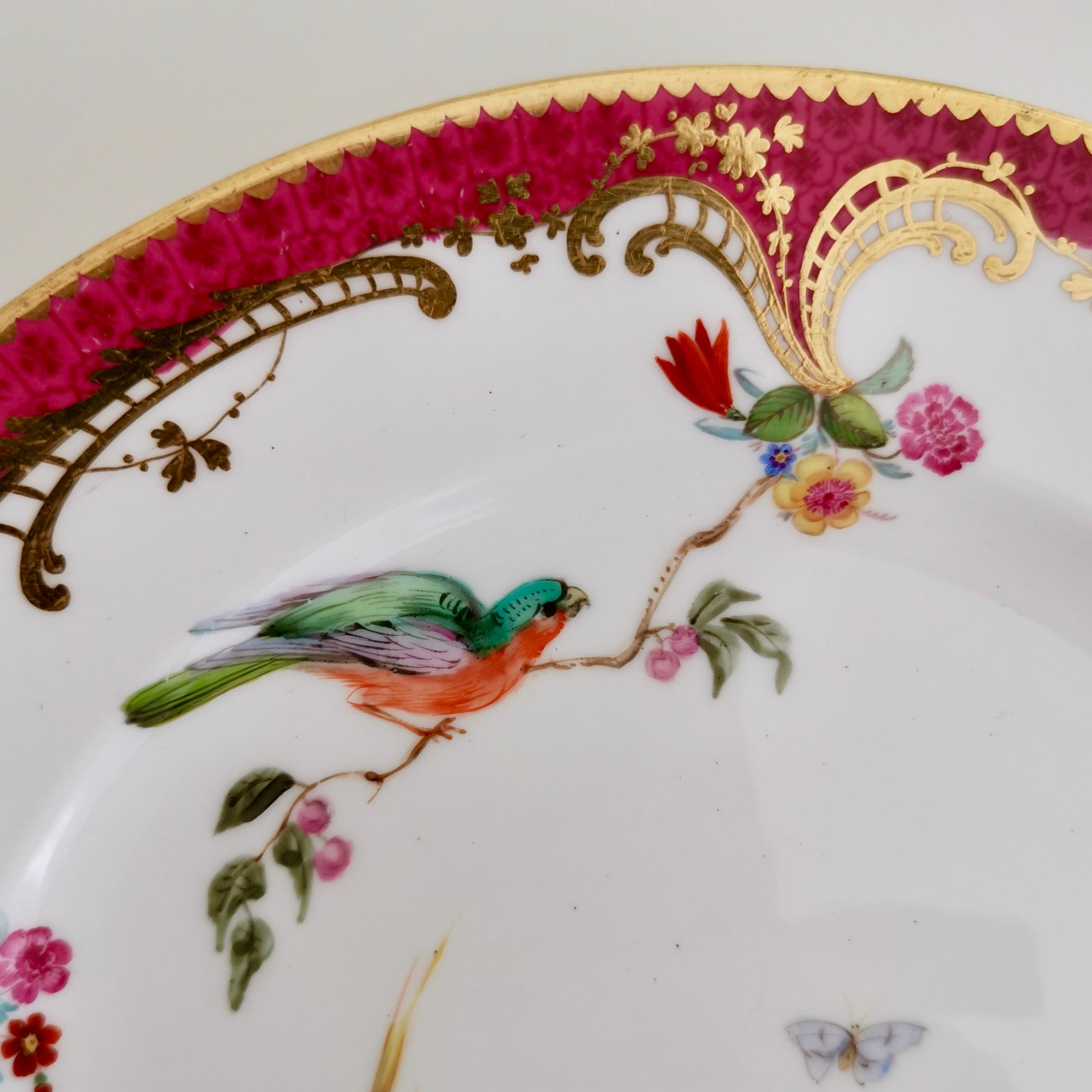 Coalport Set of 2 Small Plates, Parrots by John Randall, circa 1865 In Good Condition In London, GB
