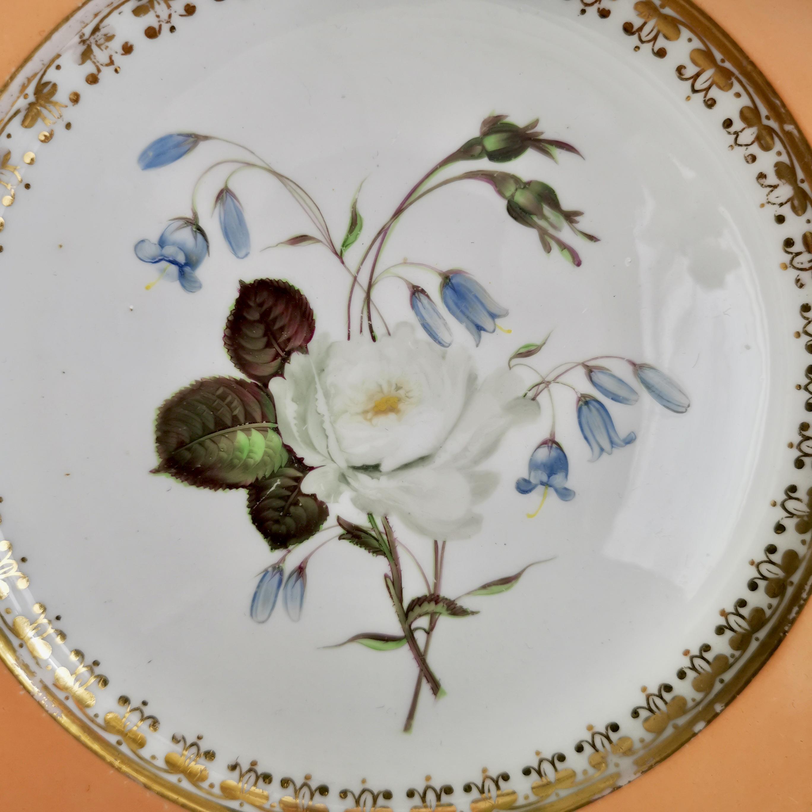 Coalport Set of 4 Plates, Peach with Flowers, Porcelain, Regency 1820-1825 4