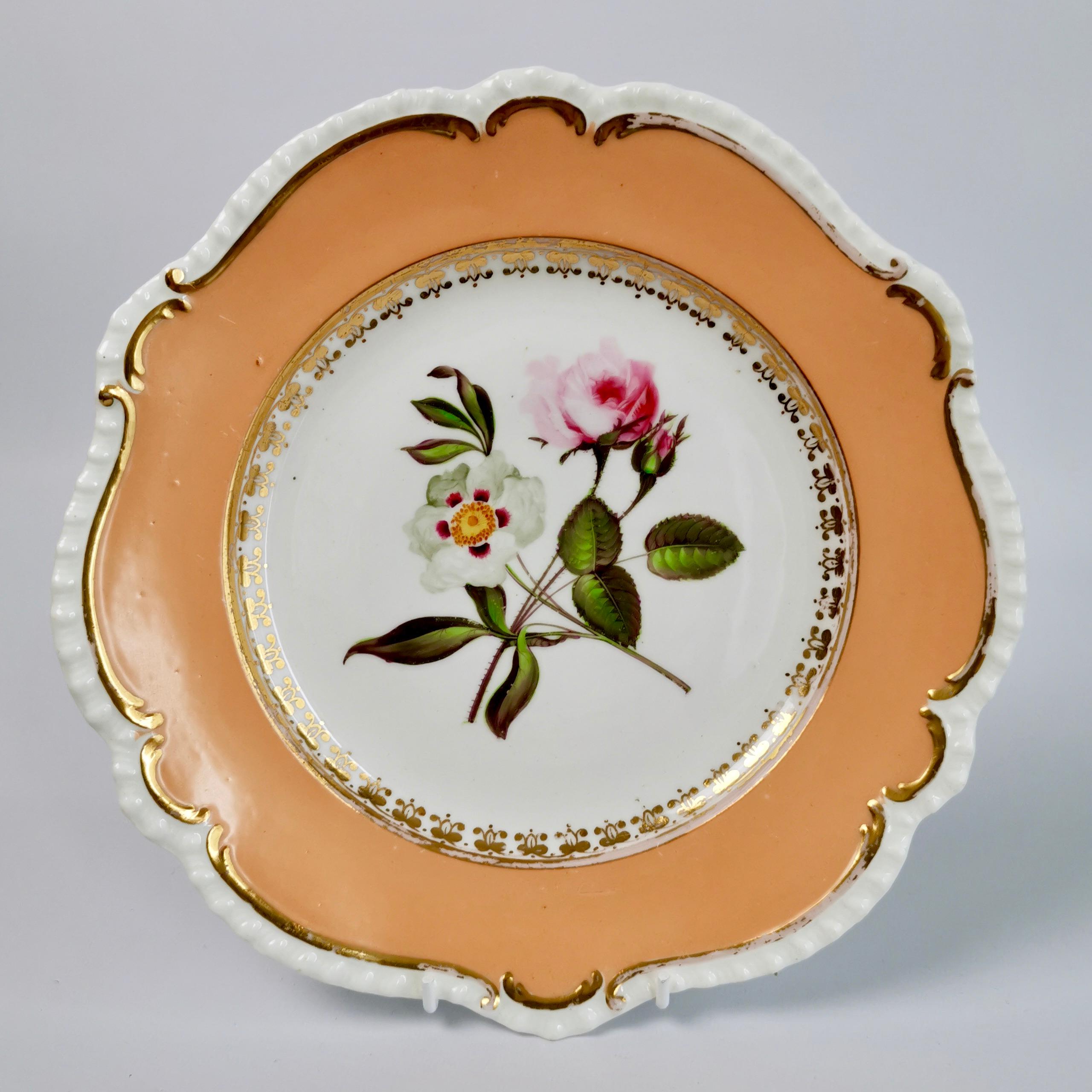 Hand-Painted Coalport Set of 4 Plates, Peach with Flowers, Porcelain, Regency 1820-1825