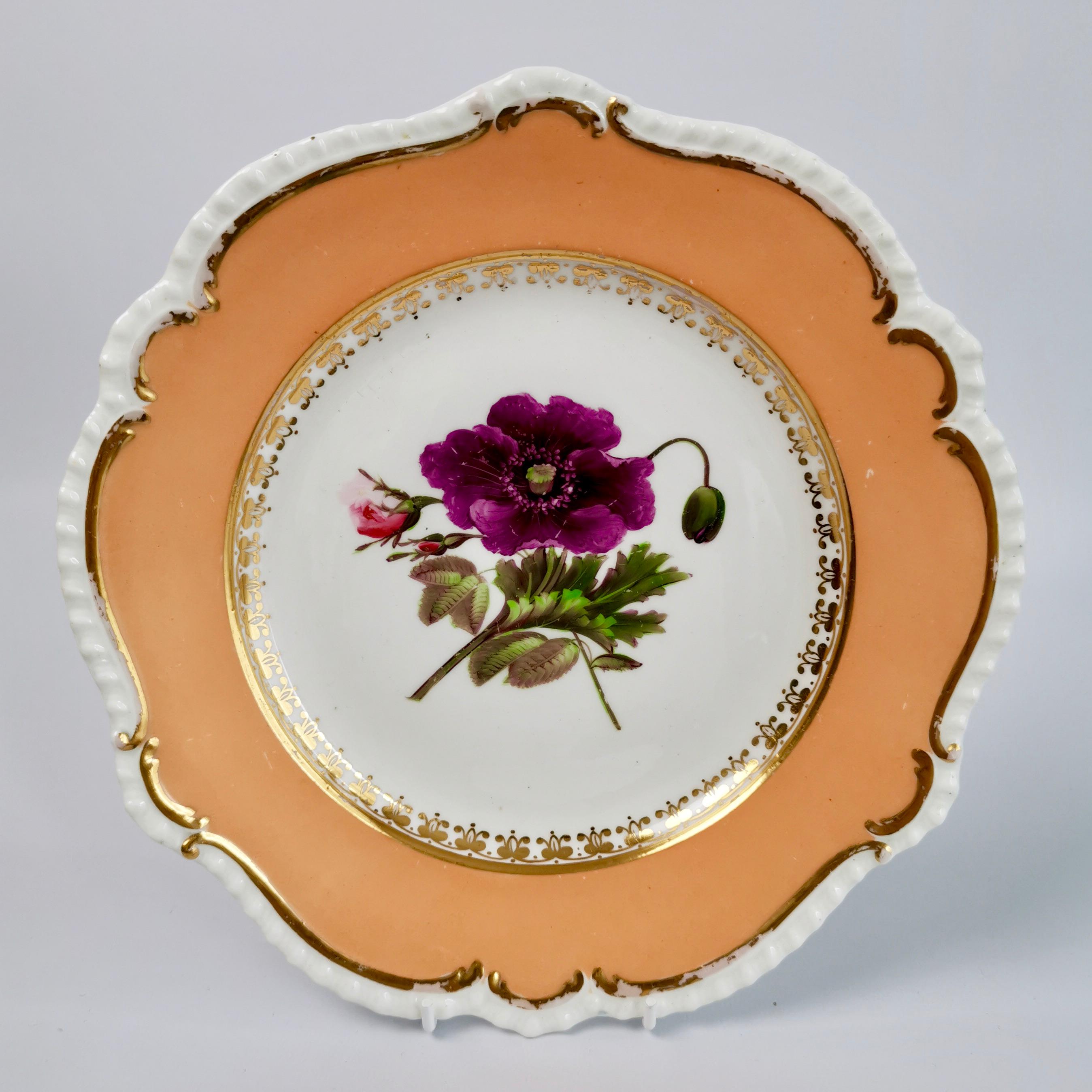 Coalport Set of 4 Plates, Peach with Flowers, Porcelain, Regency 1820-1825 In Good Condition In London, GB