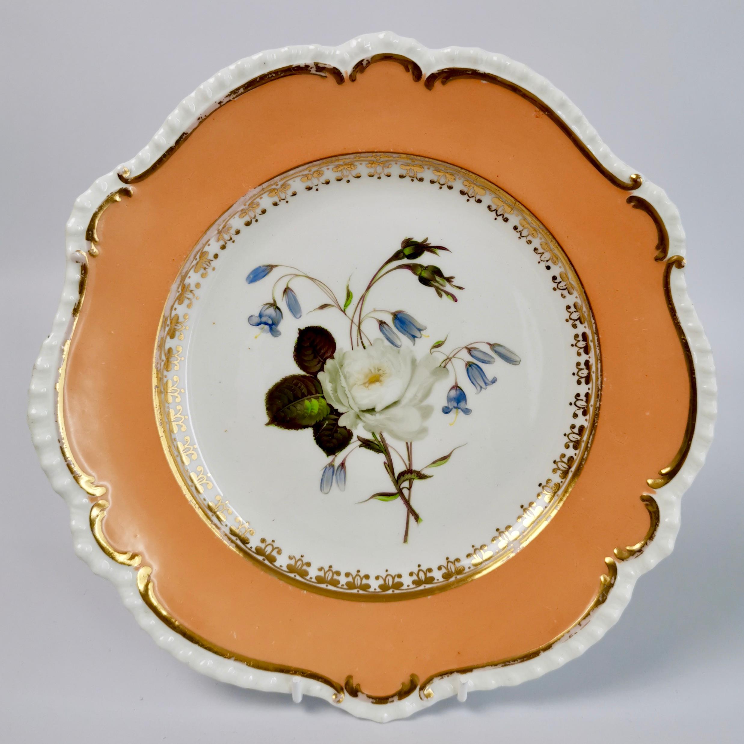 Early 19th Century Coalport Set of 4 Plates, Peach with Flowers, Porcelain, Regency 1820-1825