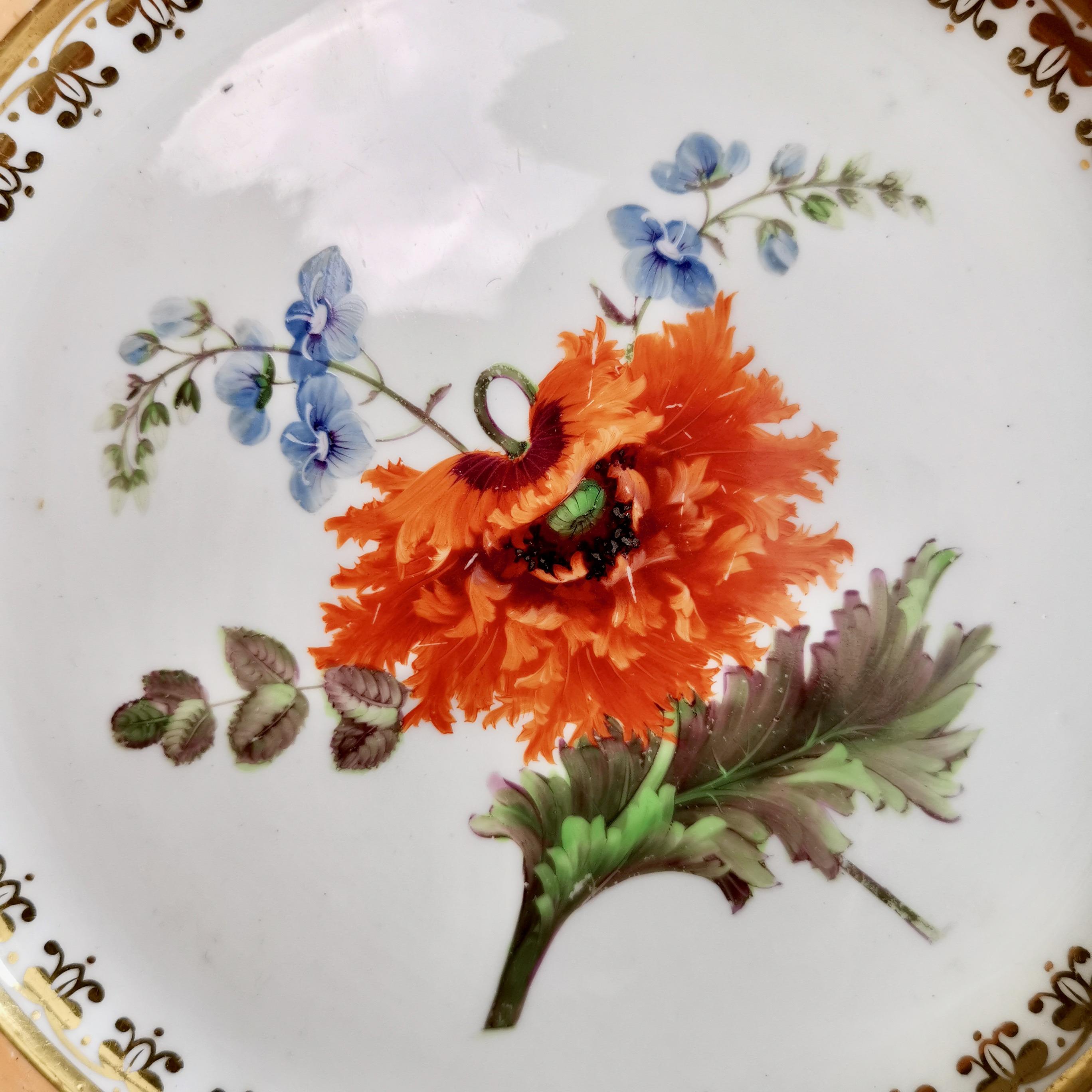 Coalport Set of 4 Plates, Peach with Flowers, Porcelain, Regency 1820-1825 1
