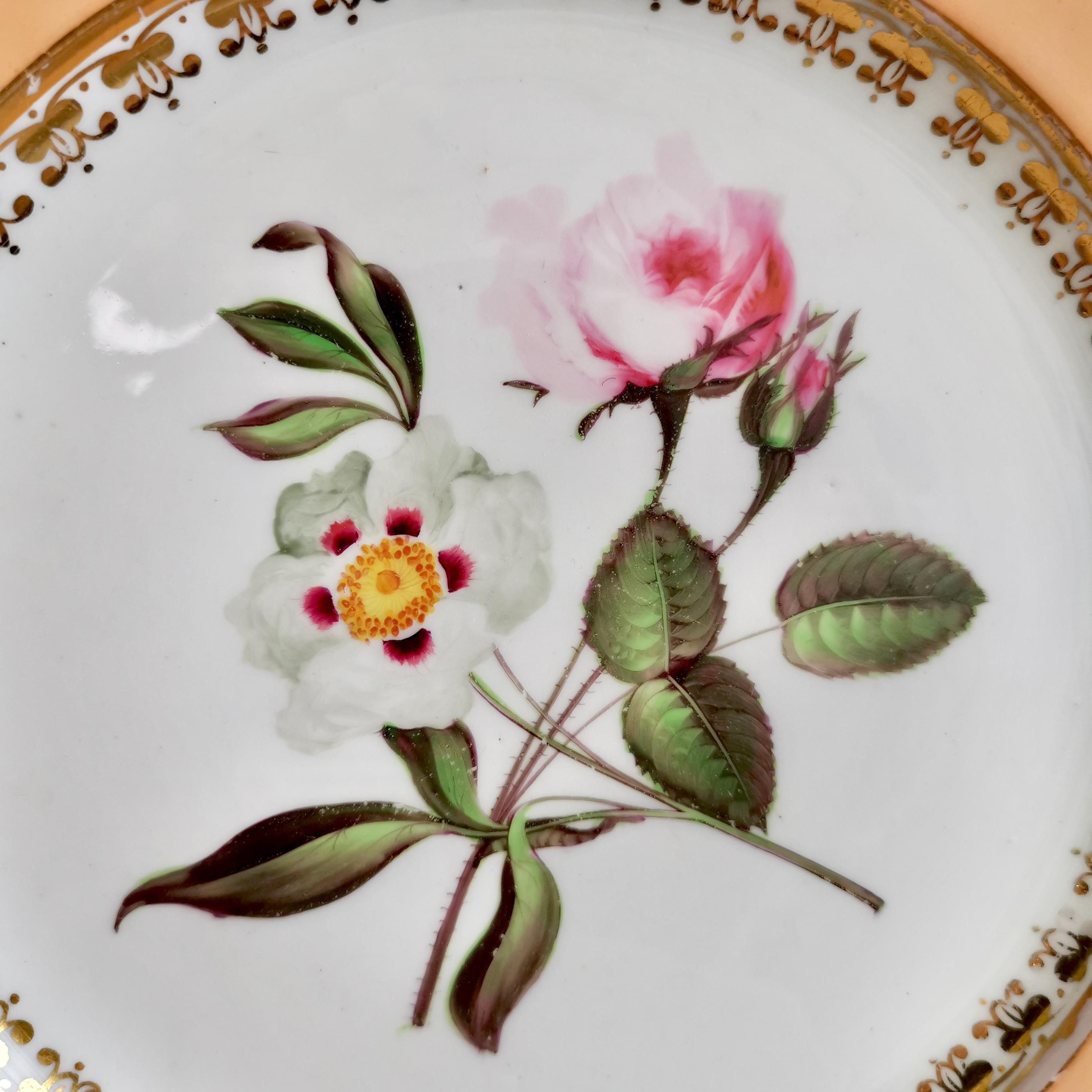 Coalport Set of 4 Plates, Peach with Flowers, Porcelain, Regency 1820-1825 2