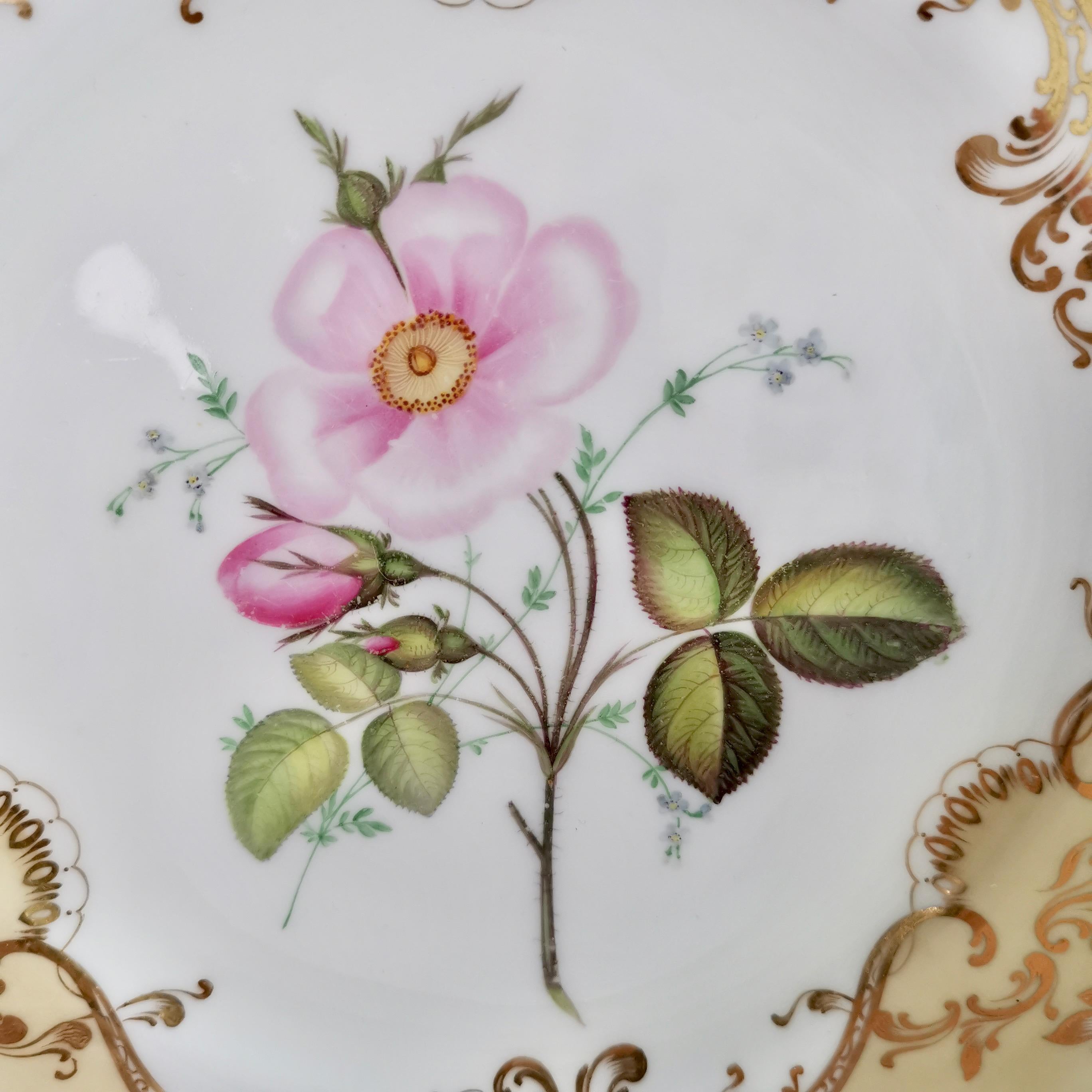 Coalport Set of 4 Porcelain Plates, Beige with Flowers Attr. John Toulouse, 1844 3